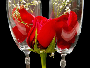 Картинка цветы розы