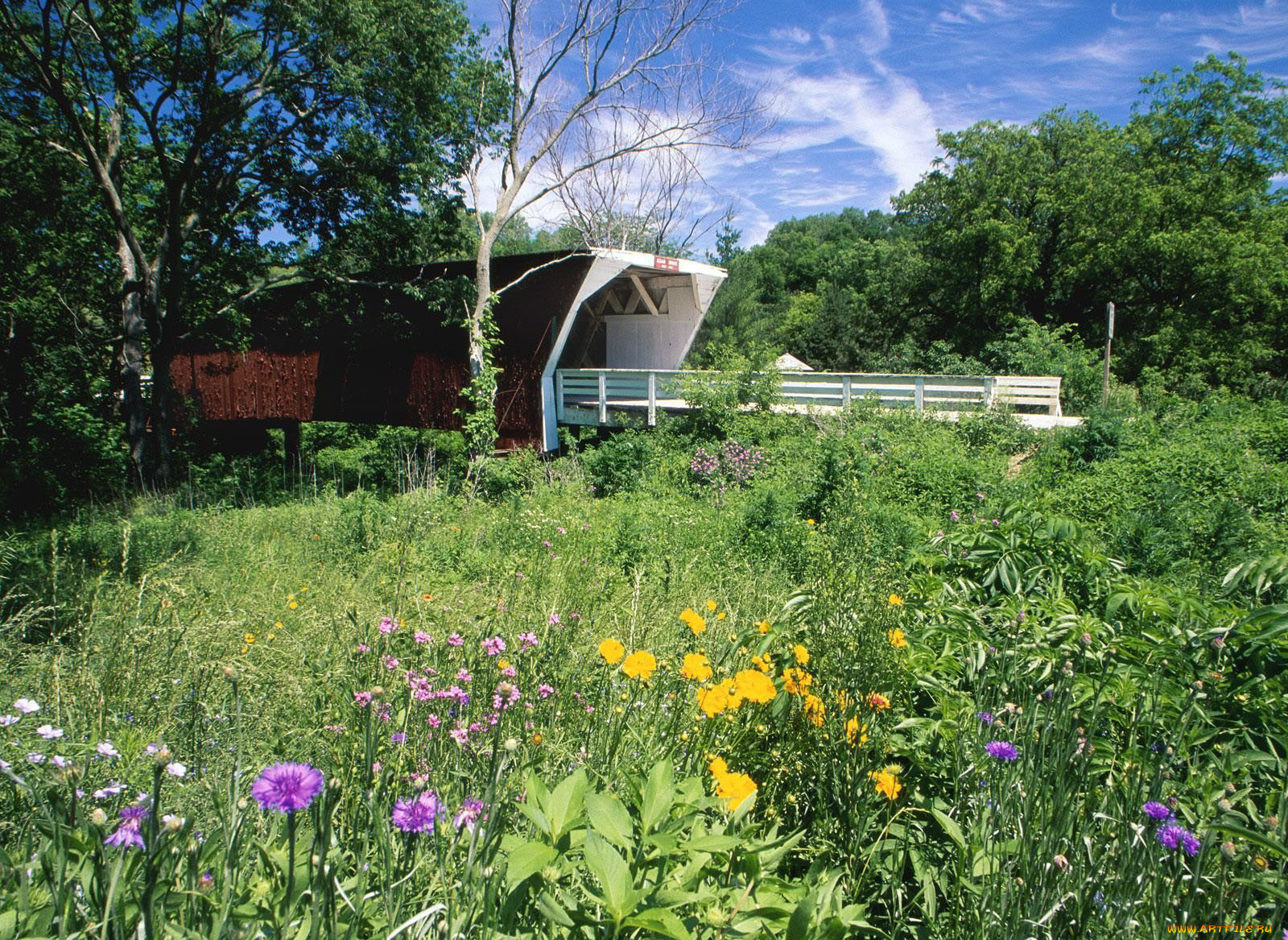 разное, сооружения, постройки, постройка, мостик, цветы