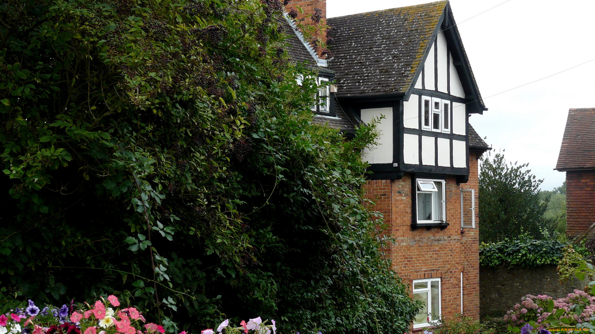 города, здания, дома, дом, дерево, цветы