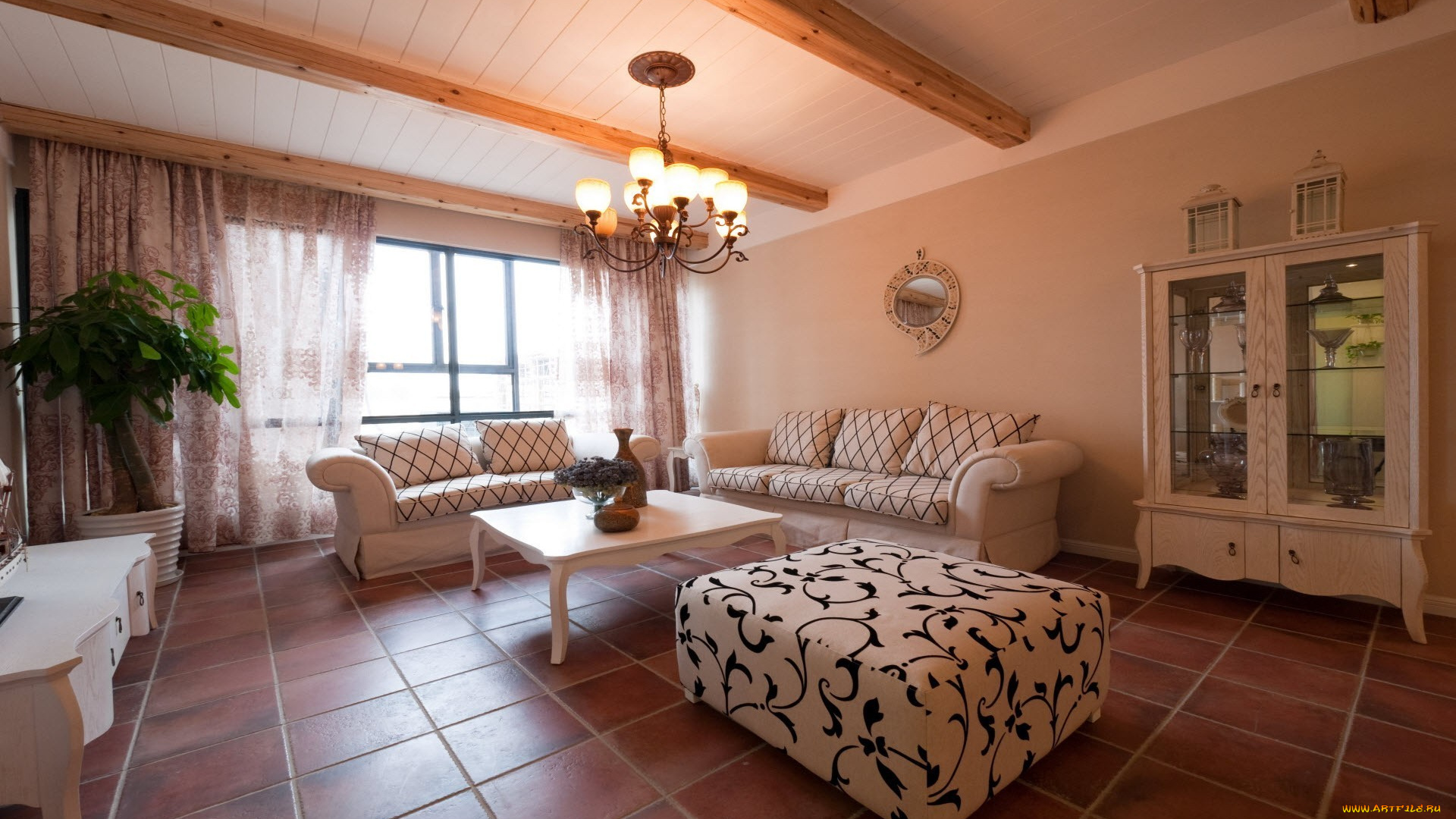 интерьер, гостиная, квартира, растение, черно-белые, полосы, стол, кресло, диван, дизайн, стиль