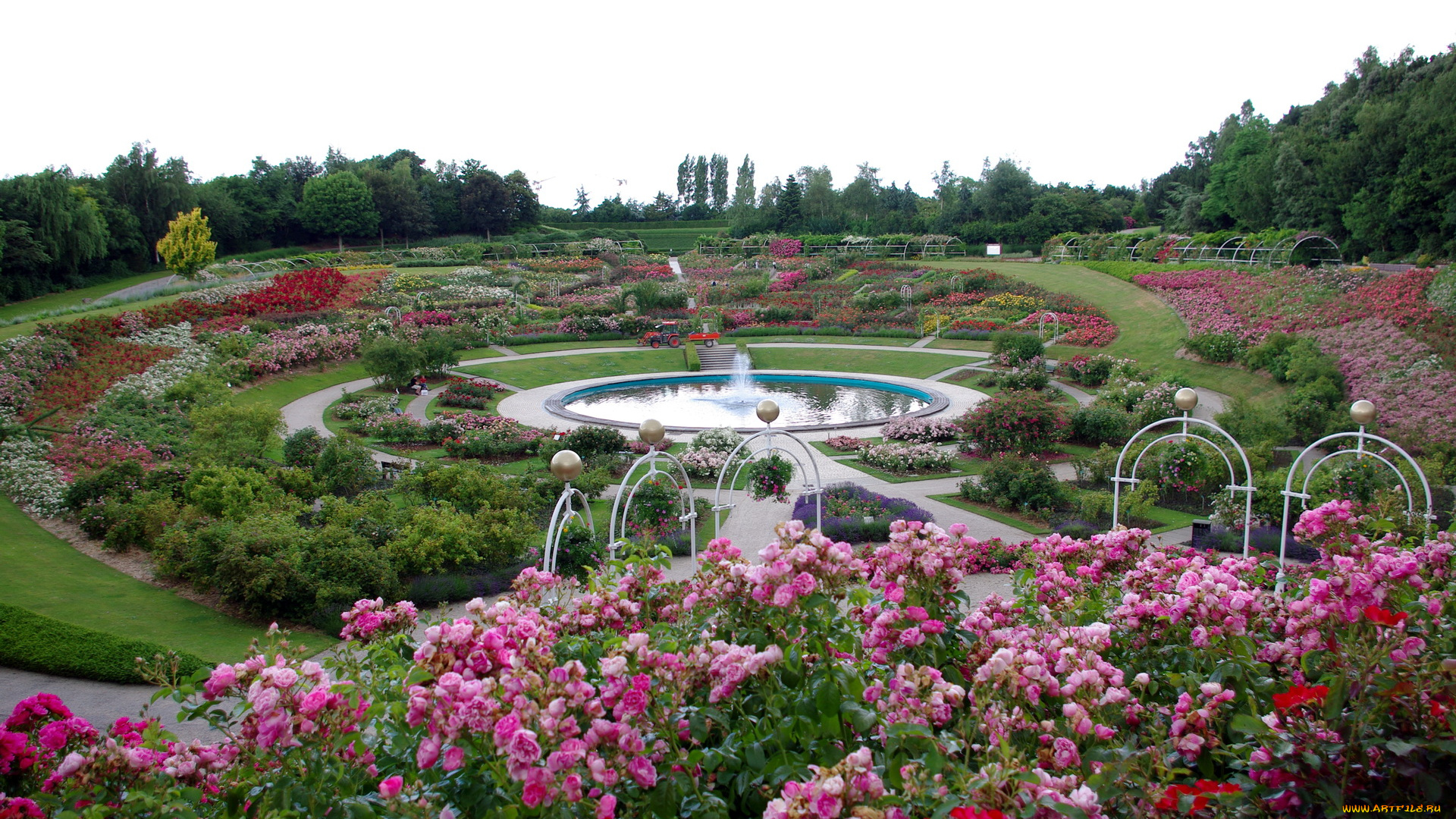 природа, парк, фонтан, клумбы, цветы