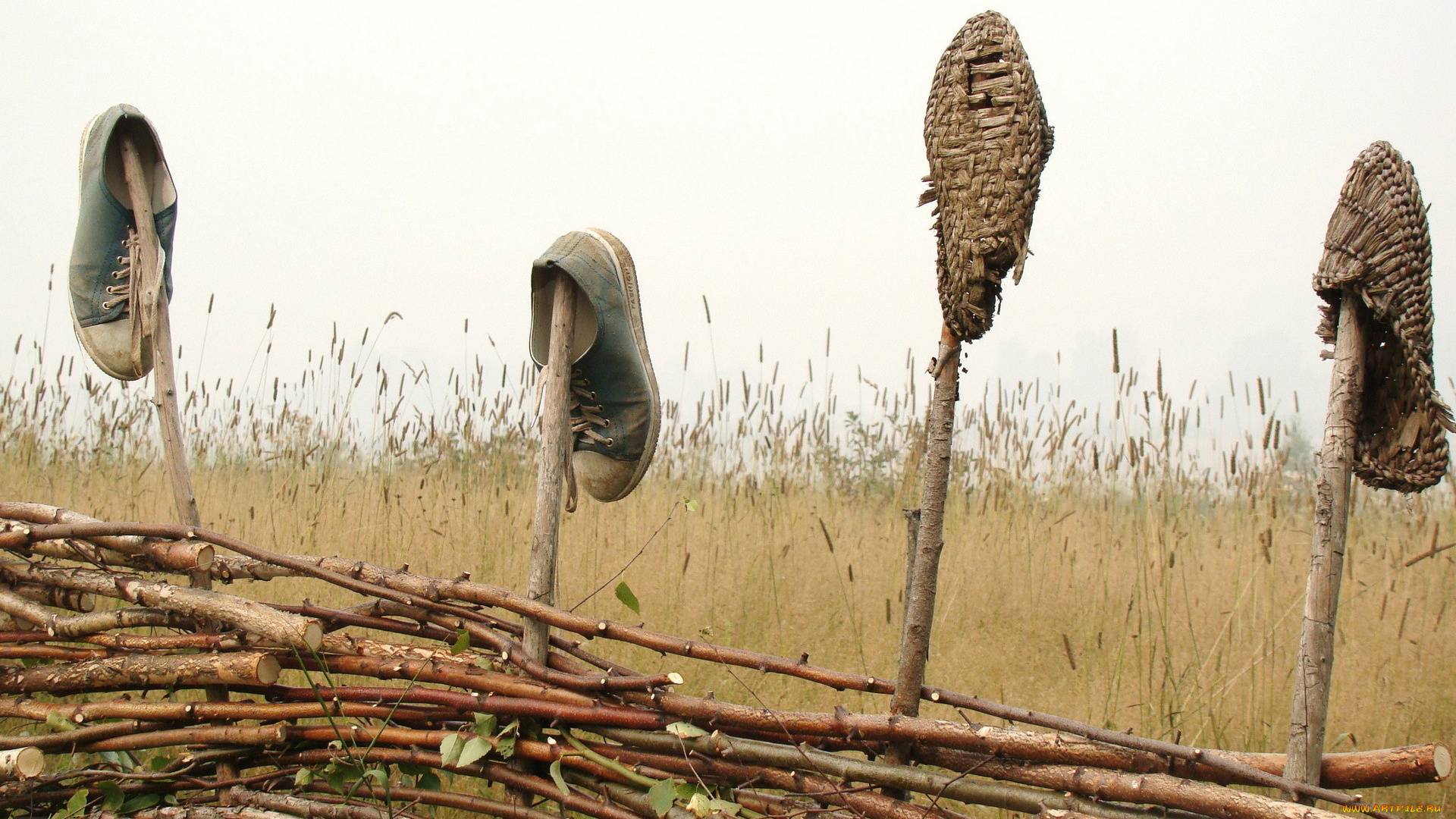 разное, одежда, обувь, текстиль, экипировка, небо, кросовки, забор