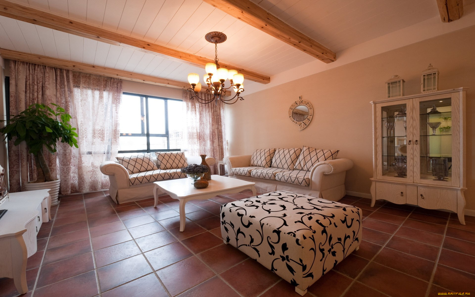 интерьер, гостиная, квартира, растение, черно-белые, полосы, стол, кресло, диван, дизайн, стиль