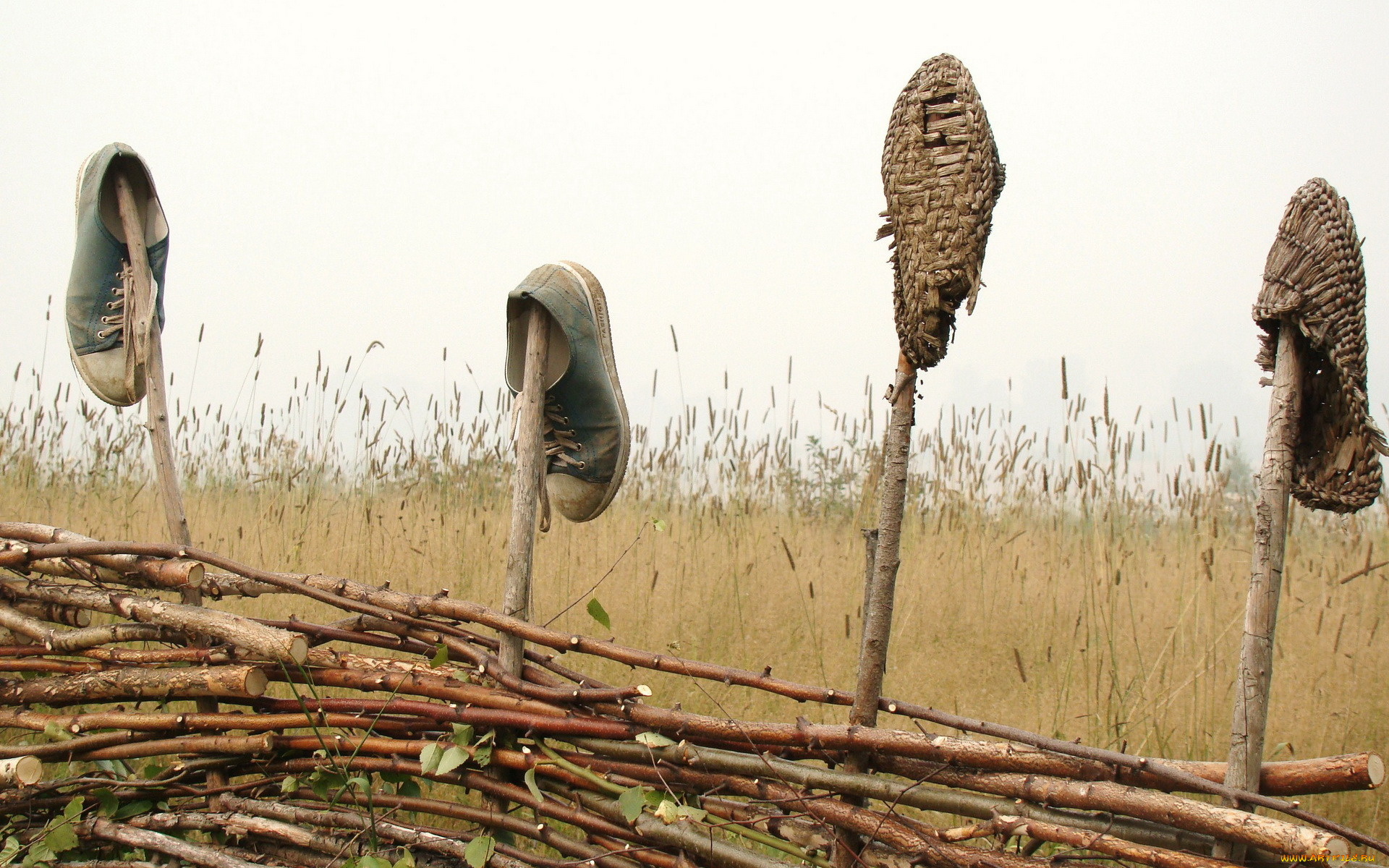 разное, одежда, обувь, текстиль, экипировка, небо, кросовки, забор