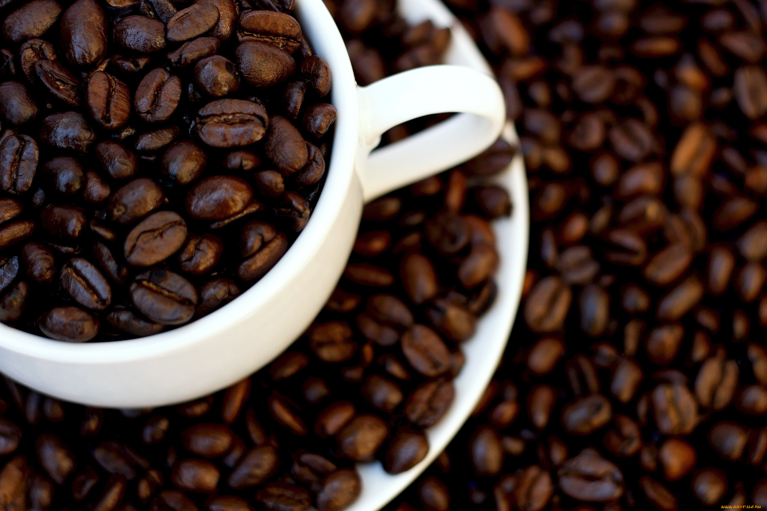 еда, кофе, кофейные, зёрна, чашка, зерна