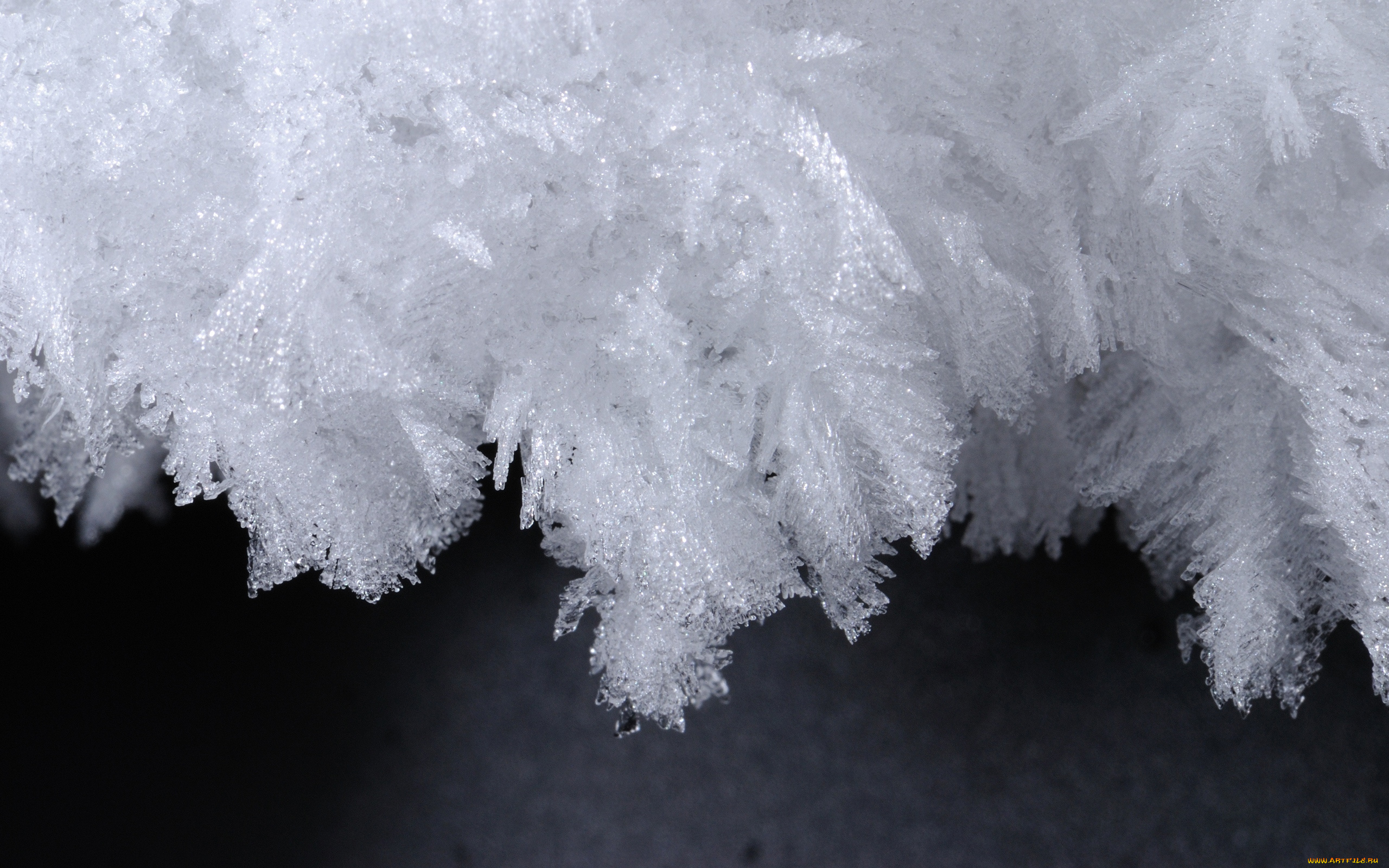 природа, макро, зима, снег