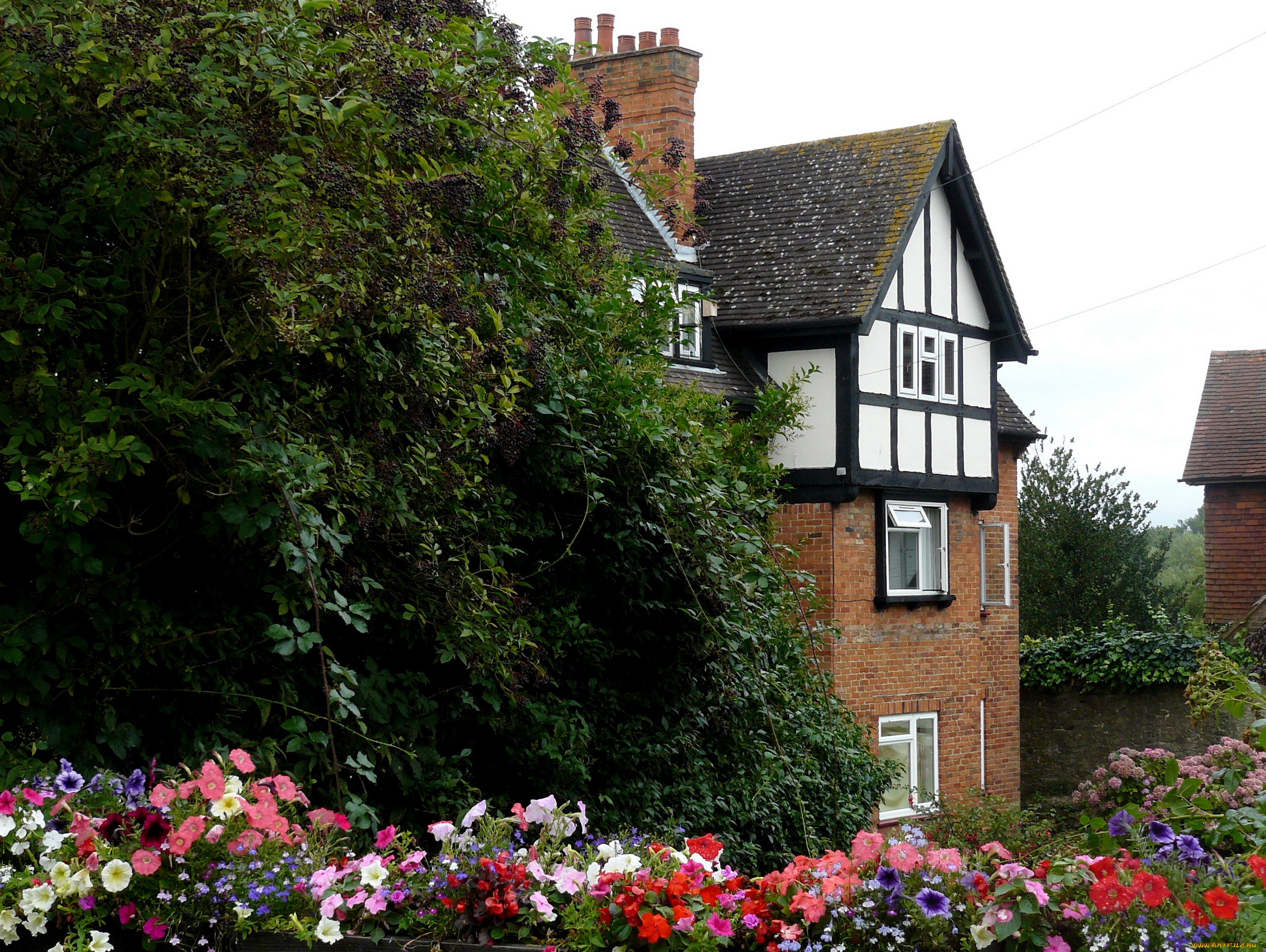 города, здания, дома, дом, дерево, цветы