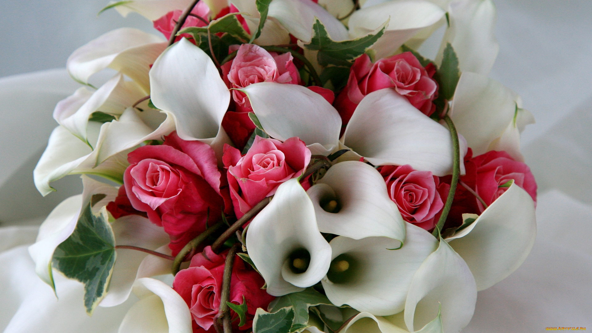 цветы, букеты, композиции, каллы, розы