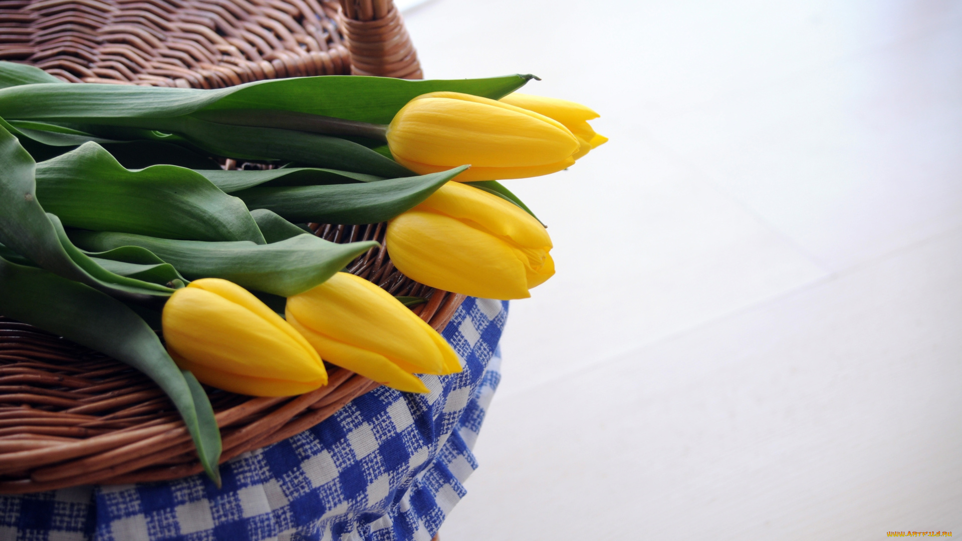 цветы, тюльпаны, желтый, корзинка, надпись