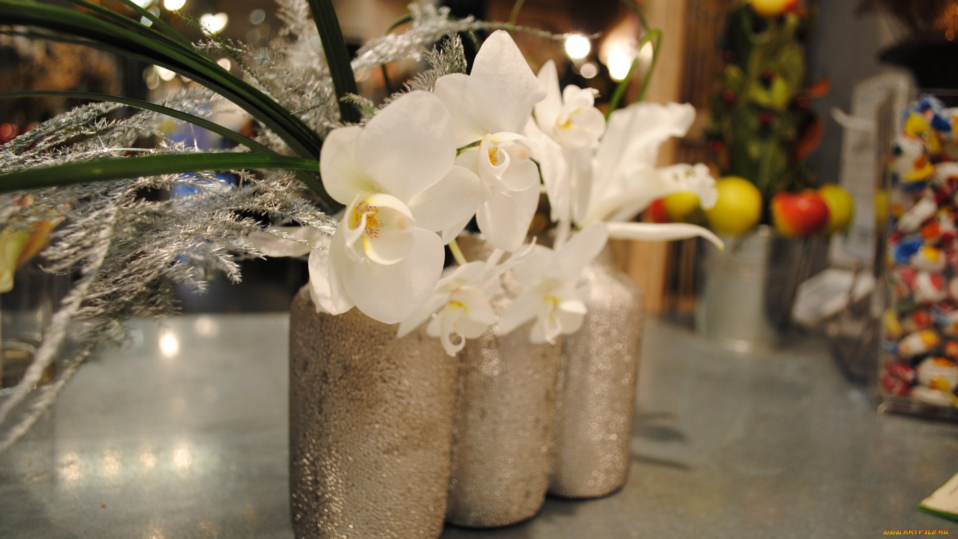 цветы, букеты, , композиции, белые, орхидеи