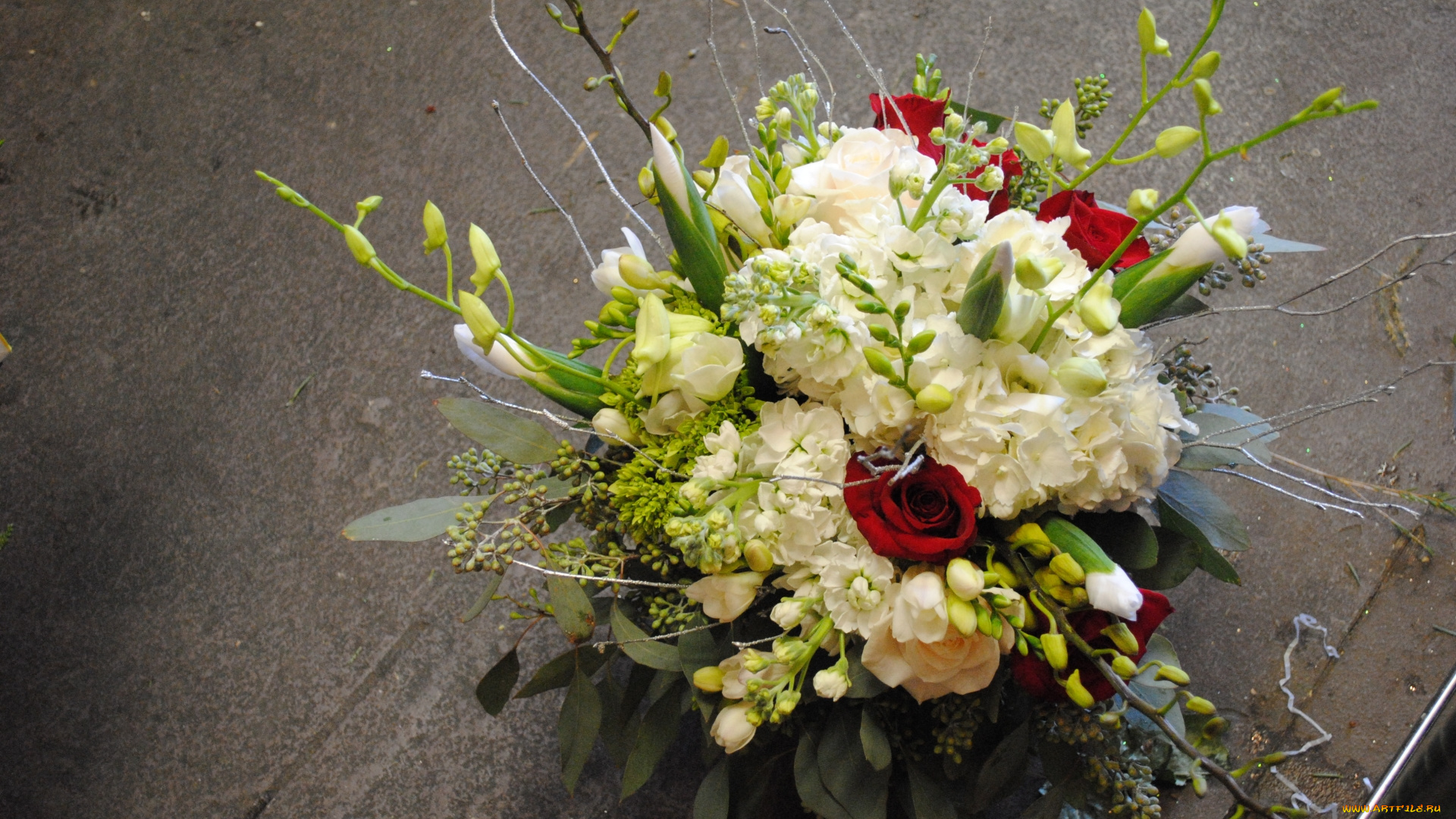 цветы, букеты, , композиции, розы, букет, красные