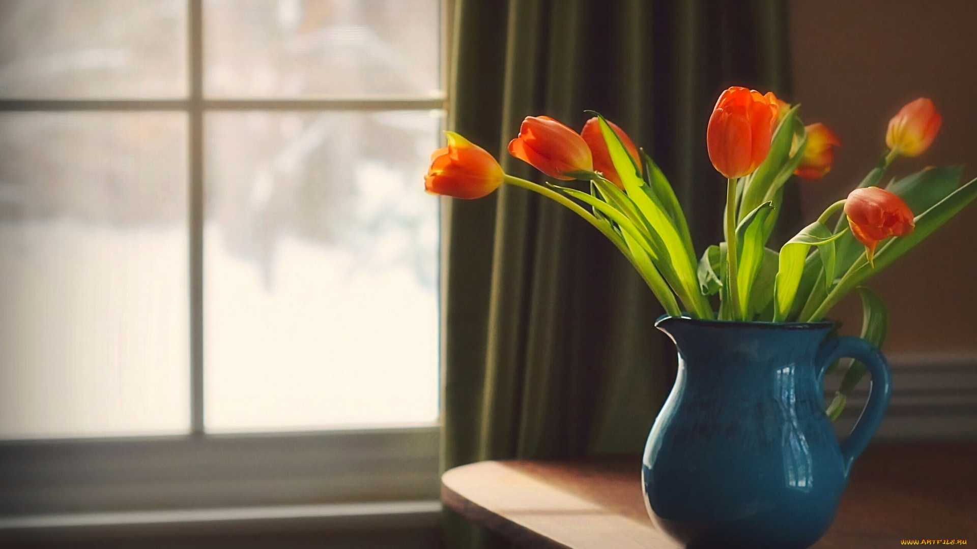 цветы, тюльпаны, кувшин