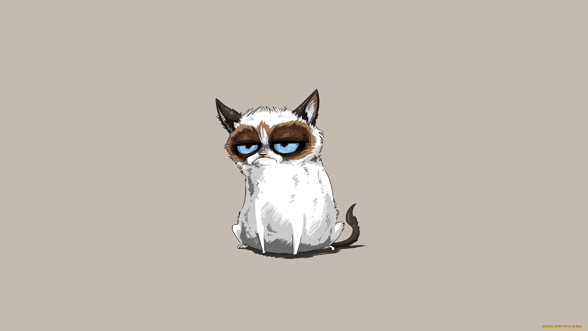grumpy, cat, рисованные, минимализм, хмурый, кот, tardar, sauce, сердитый, котик, grumpy, cat