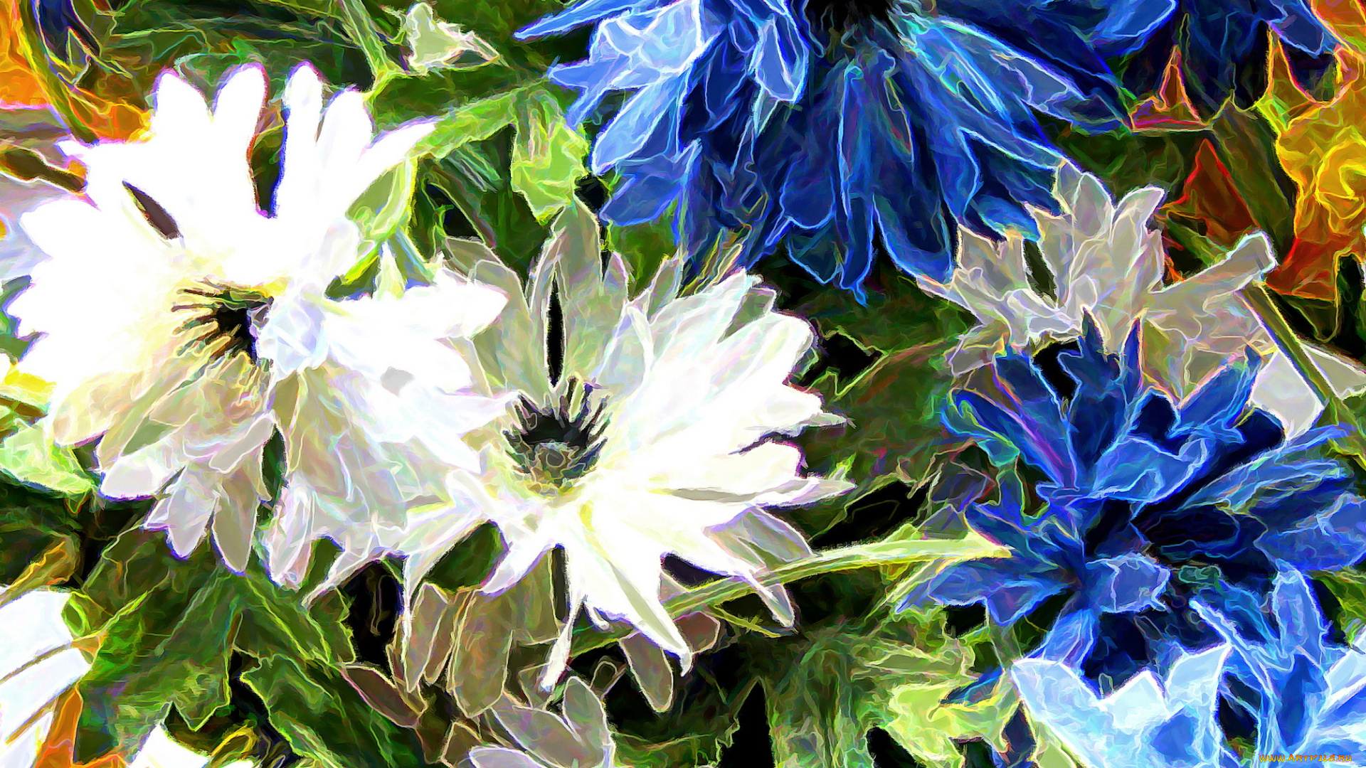 разное, компьютерный, дизайн, цветы