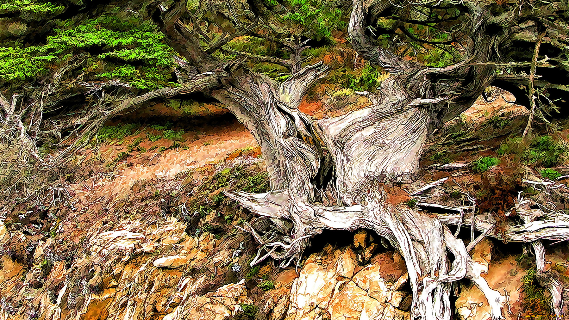 разное, компьютерный, дизайн, корни, дерево