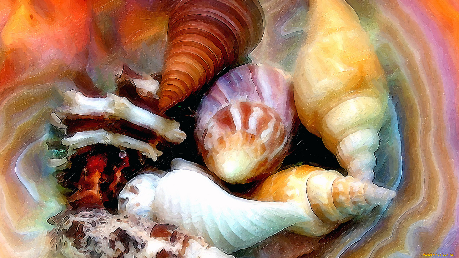 рисованные, -, другое, ракушки, морские