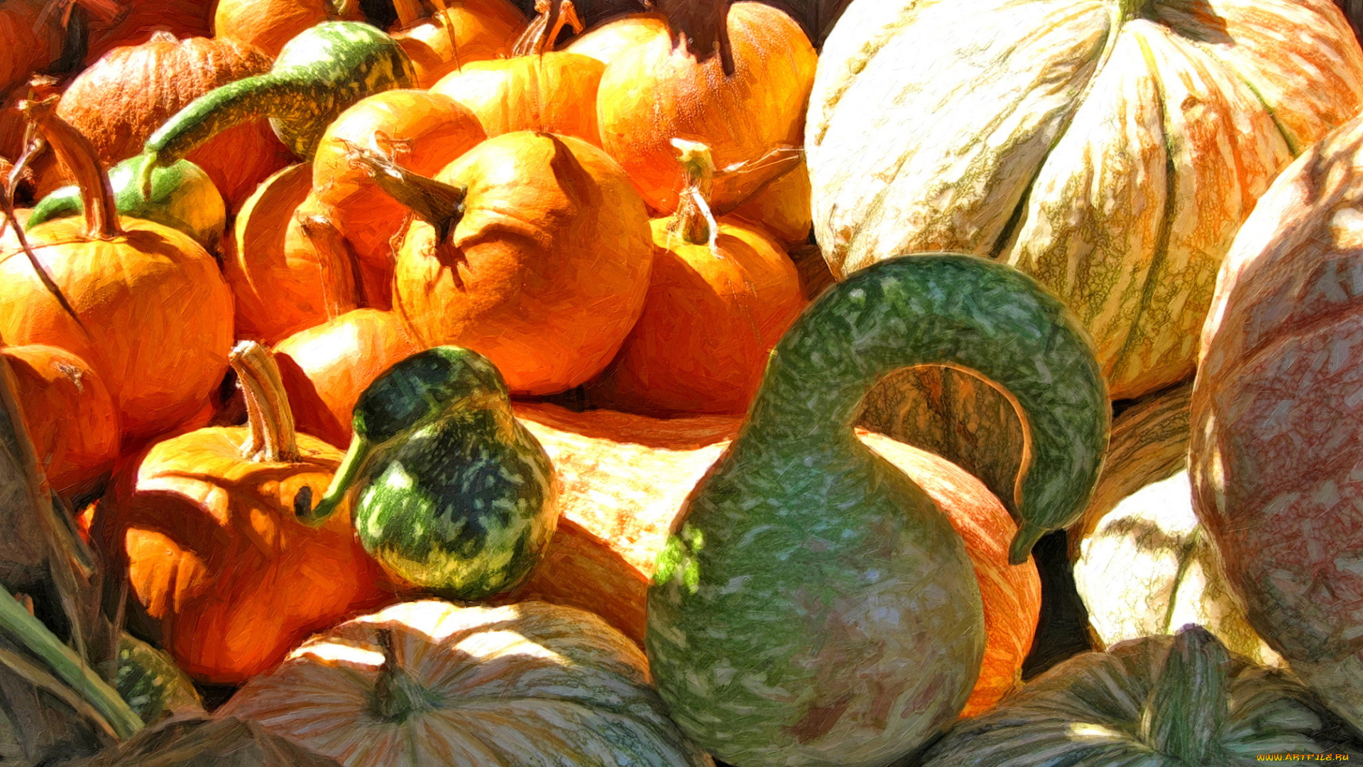 рисованные, еда, тыква