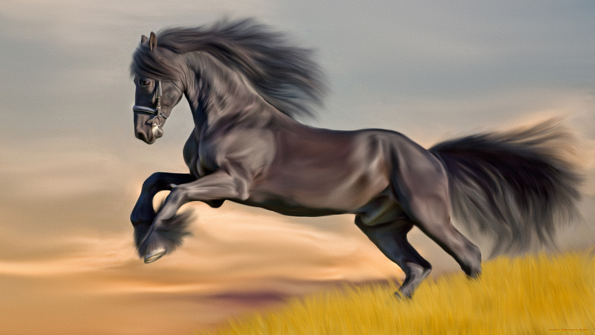 рисованные, животные, поле, лошадь