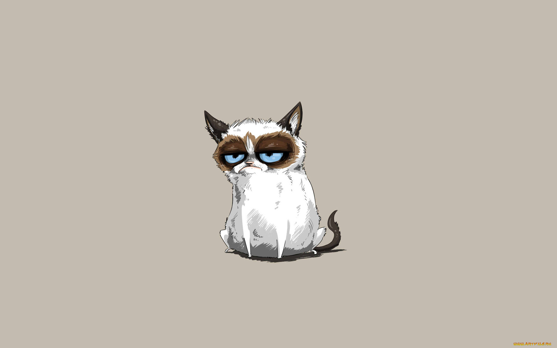 grumpy, cat, рисованные, минимализм, хмурый, кот, tardar, sauce, сердитый, котик, grumpy, cat