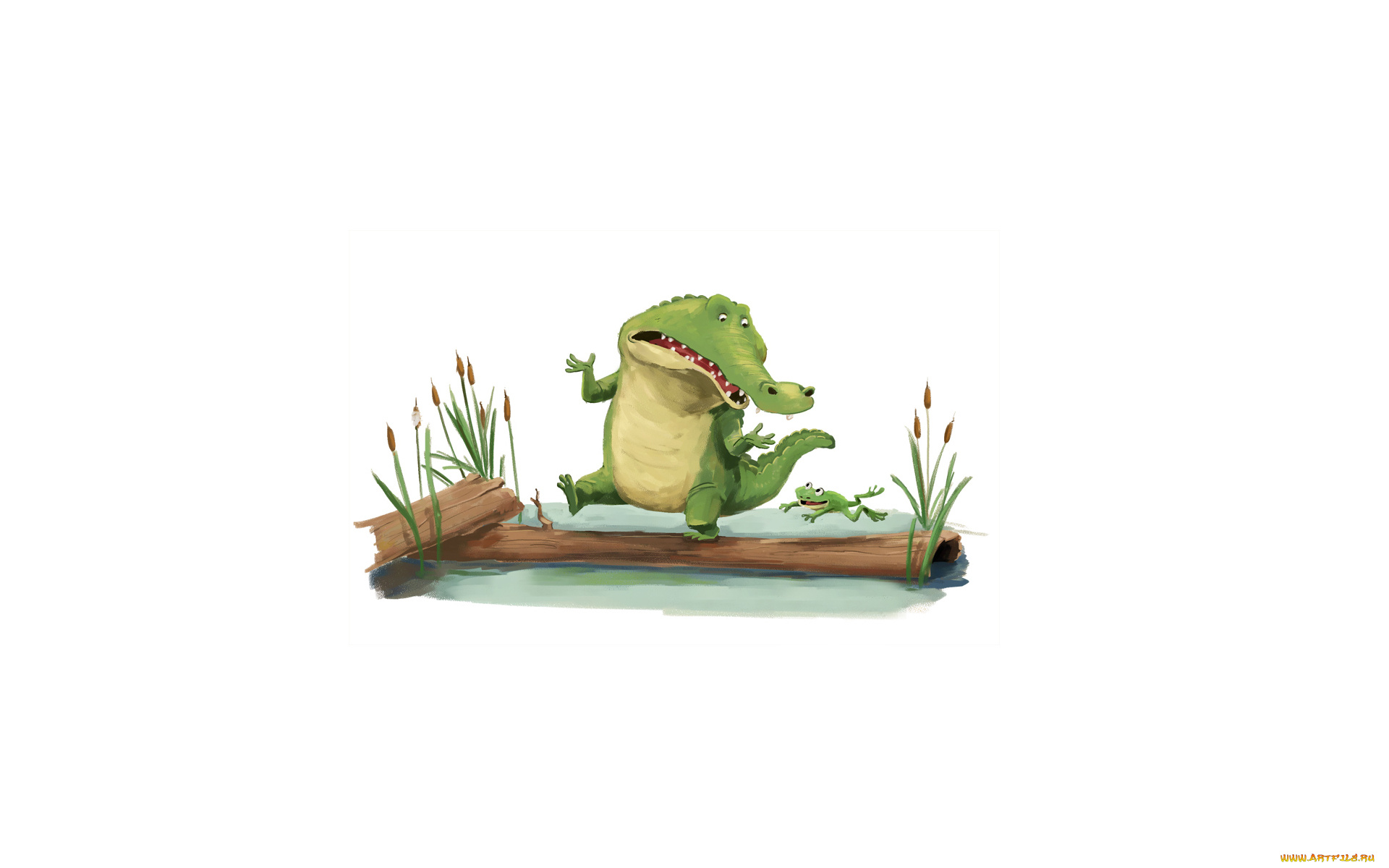 крокодил, и, лягушка, рисованные, минимализм, камыши, крокодил, вода, лягушка