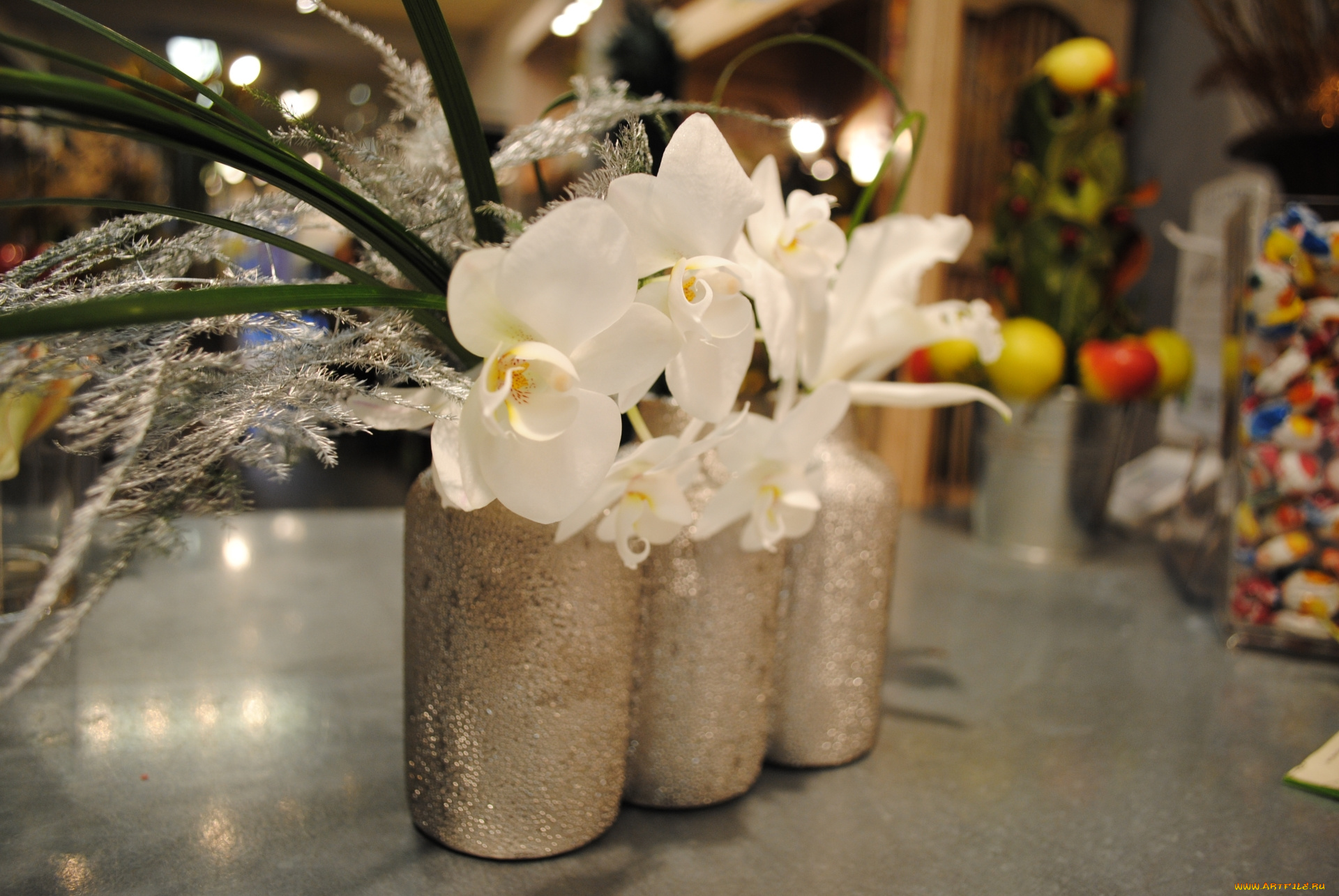 цветы, букеты, , композиции, белые, орхидеи