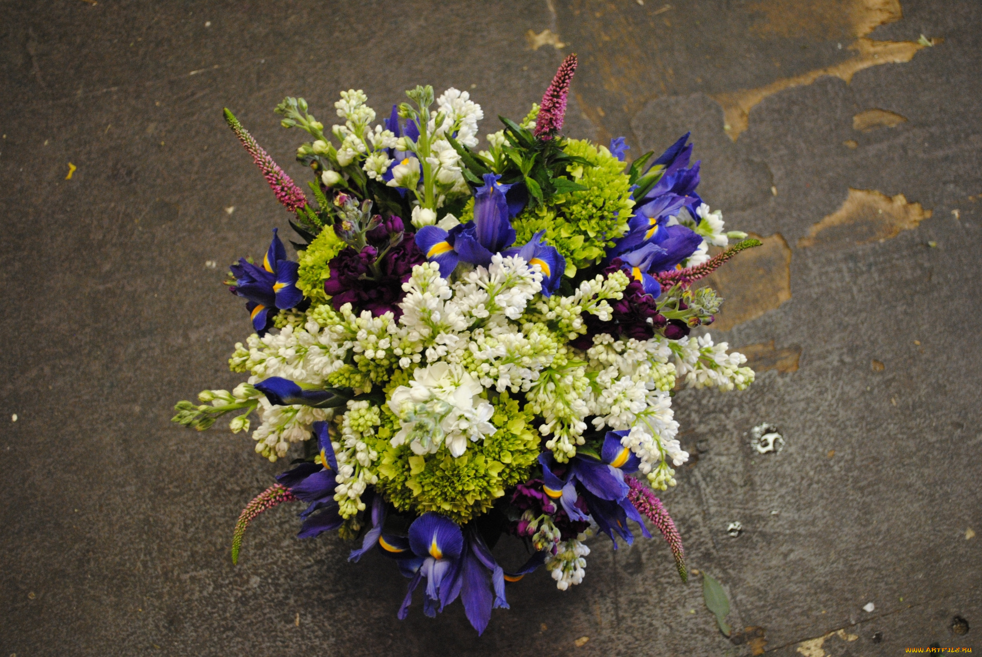 цветы, букеты, , композиции, букет, ирис, сирень