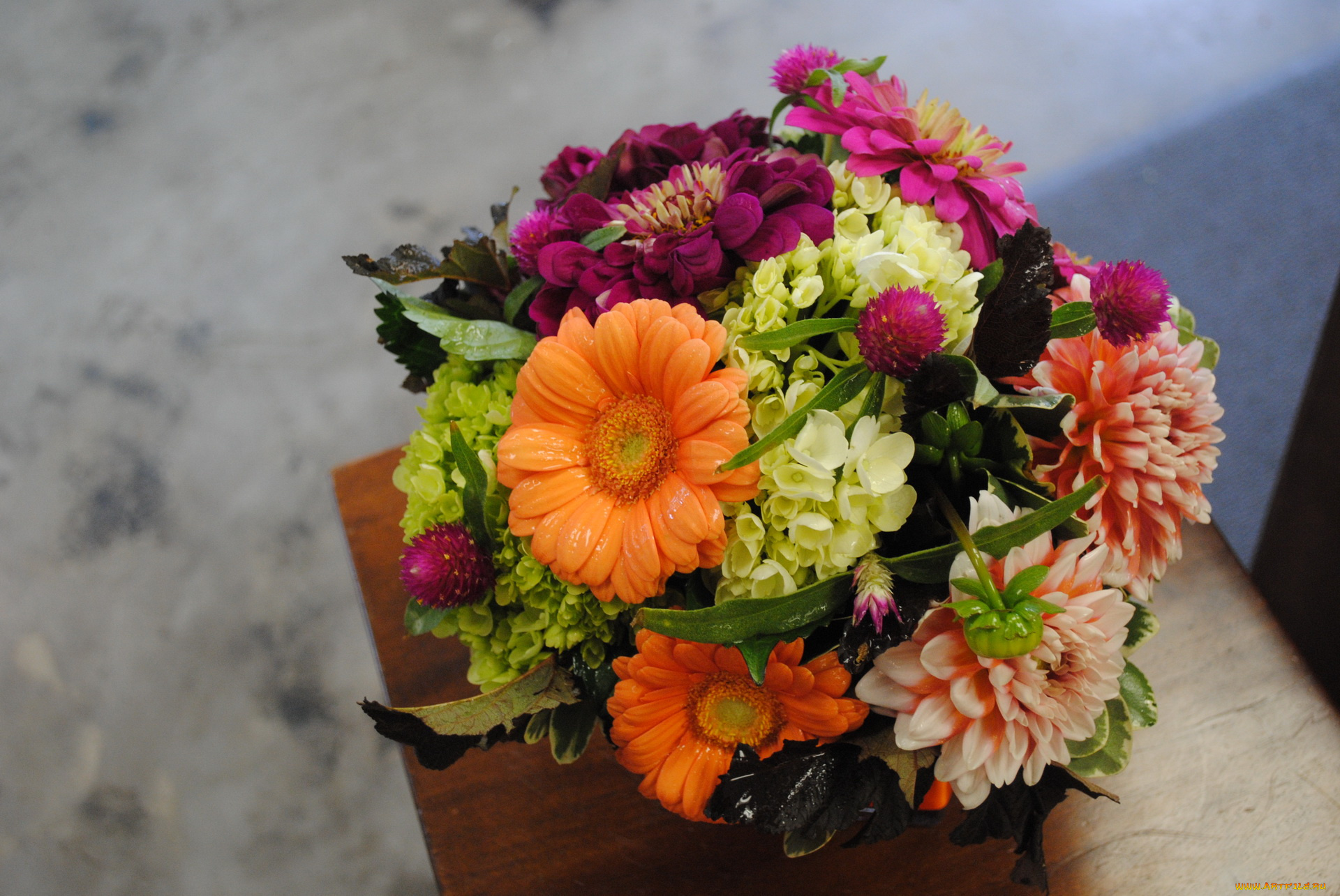 цветы, букеты, , композиции, циннея, георгин, букет, гербера