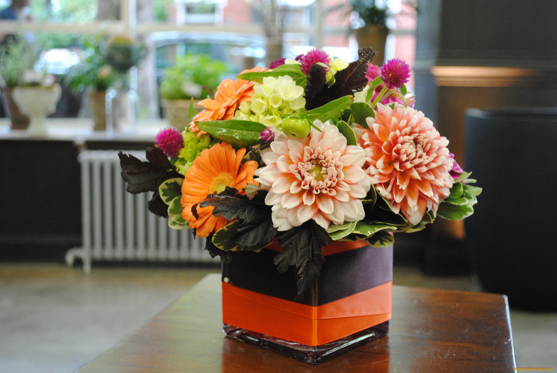 цветы, букеты, , композиции, георгины, букет, циннея