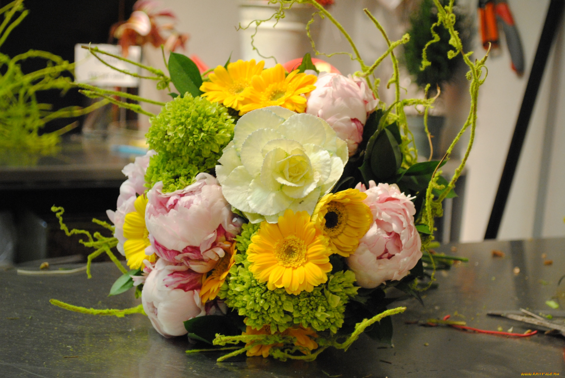 цветы, букеты, , композиции, гербера, пиона, букет