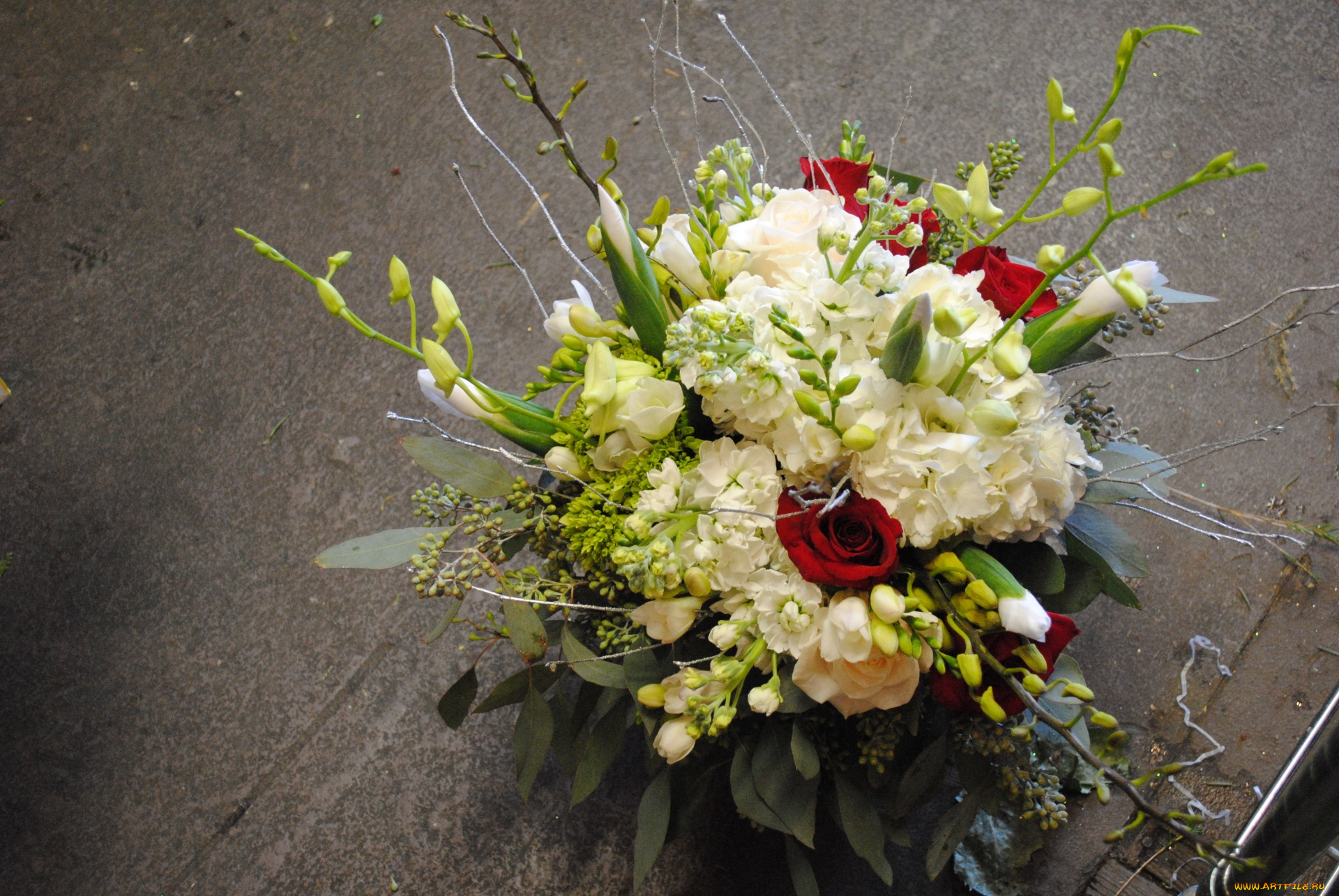 цветы, букеты, , композиции, розы, букет, красные