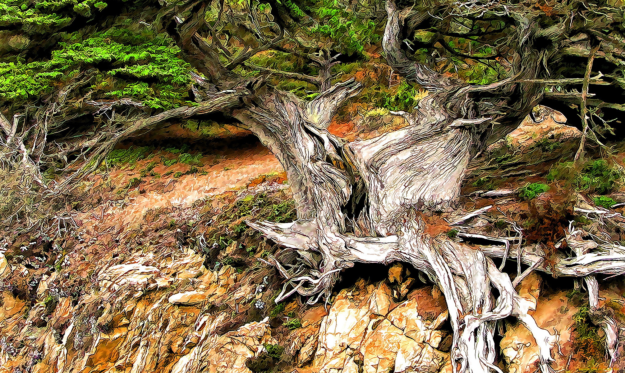 разное, компьютерный, дизайн, корни, дерево