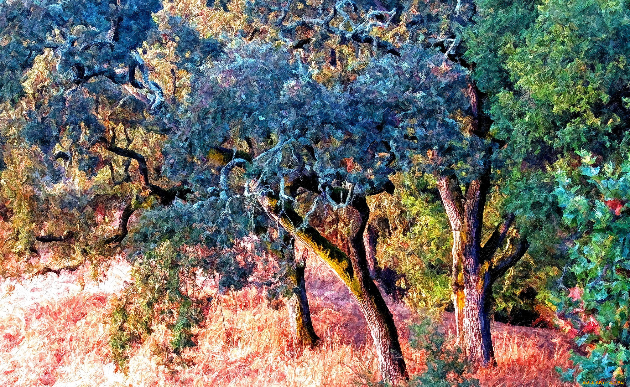разное, компьютерный, дизайн, лес, деревья, трава