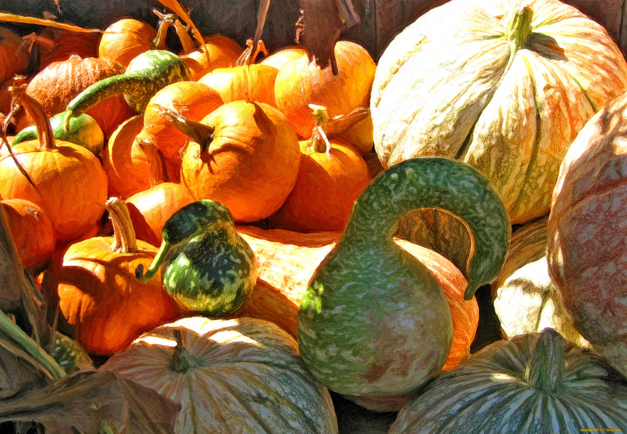 рисованные, еда, тыква