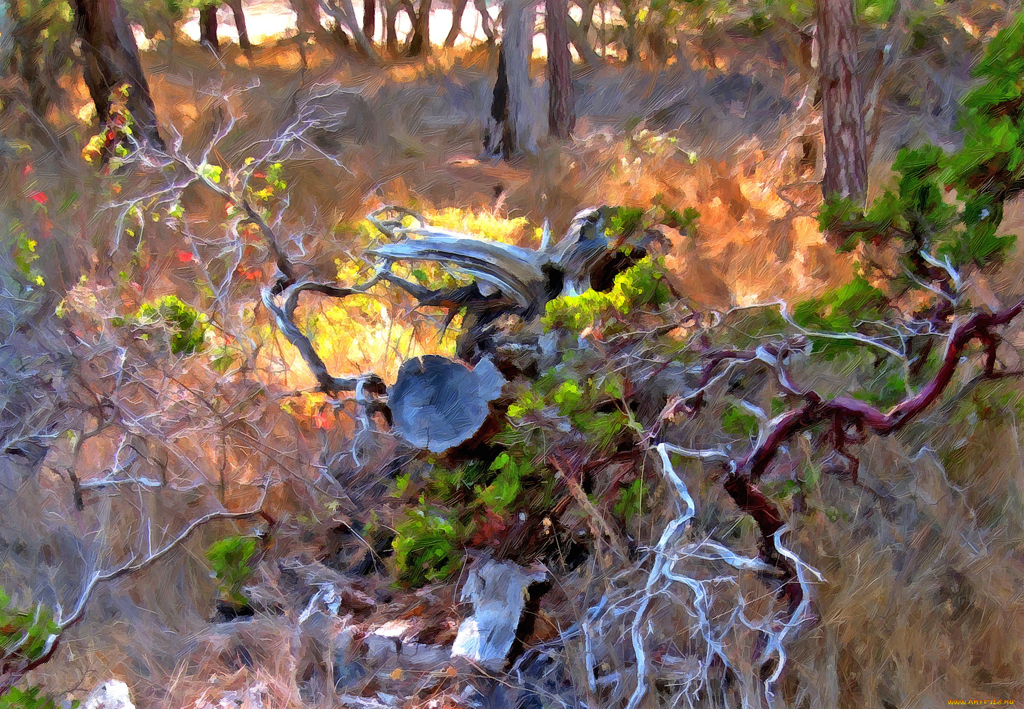 рисованные, природа, лес, деревья, ветки