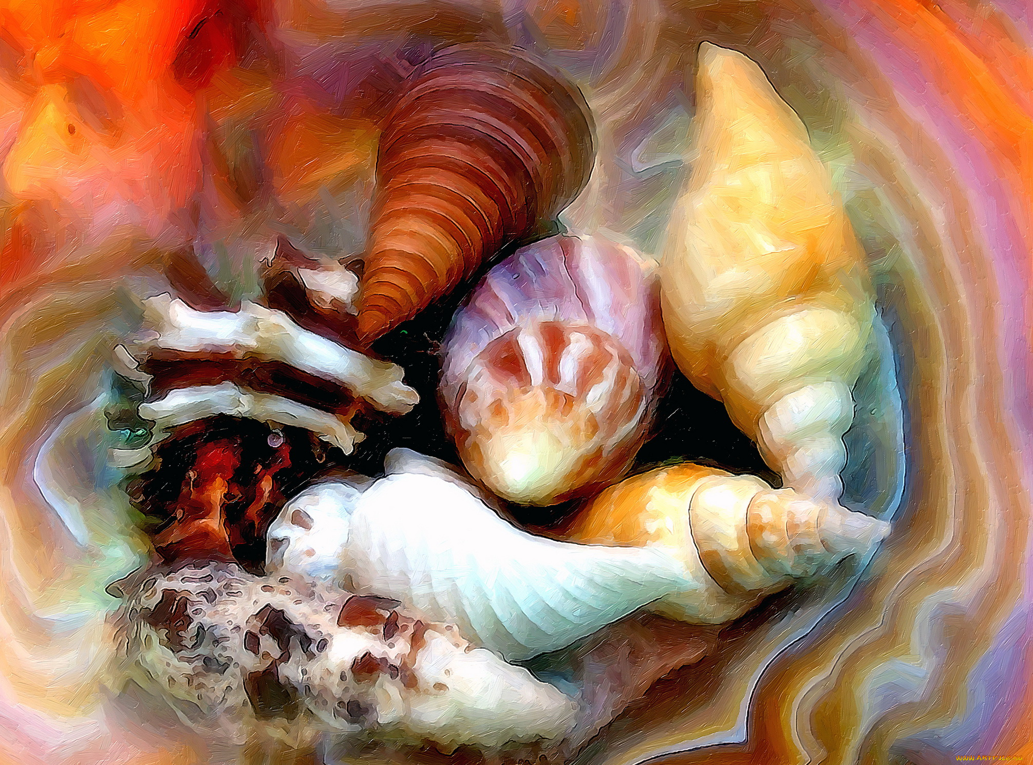 рисованные, -, другое, ракушки, морские