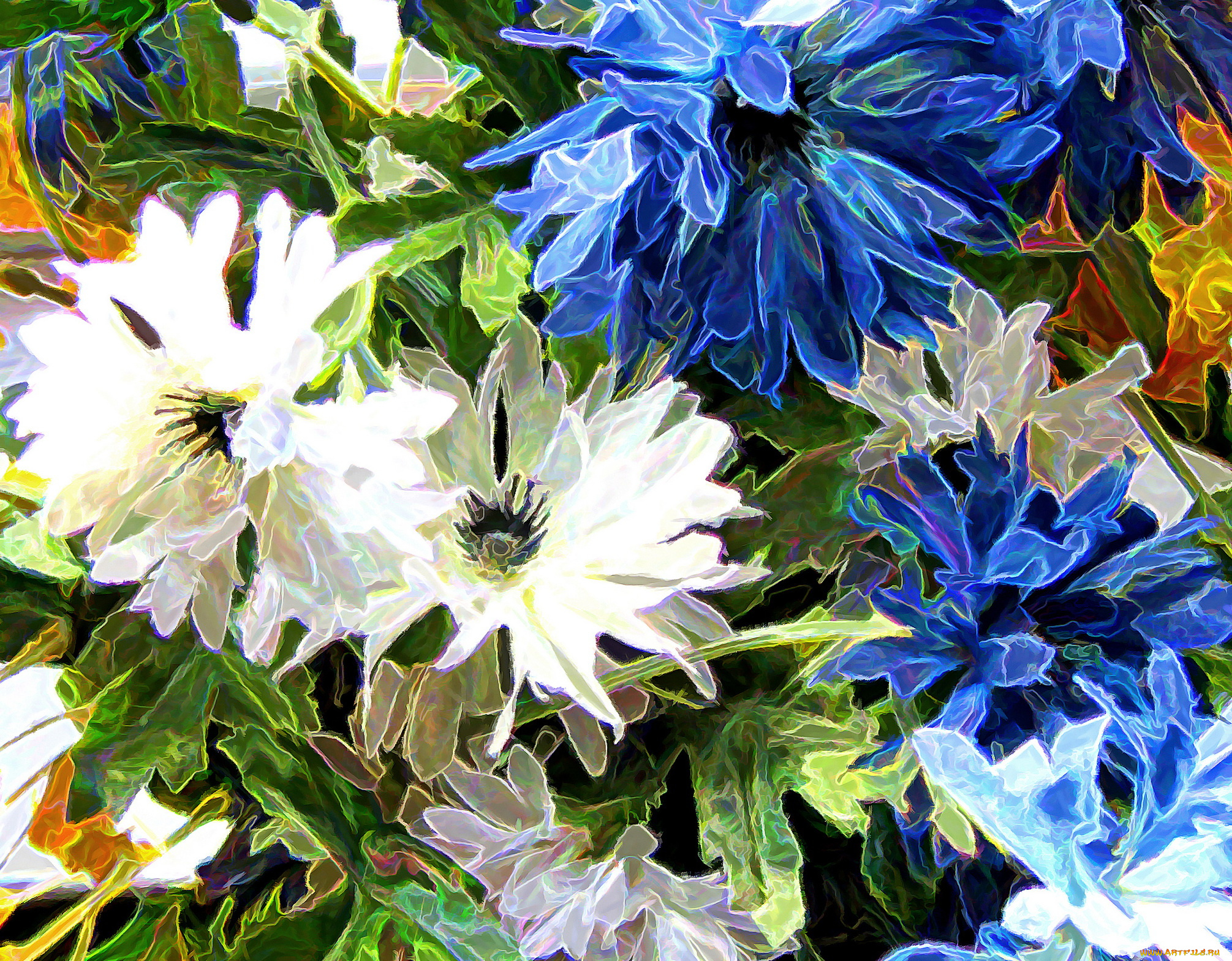 разное, компьютерный, дизайн, цветы