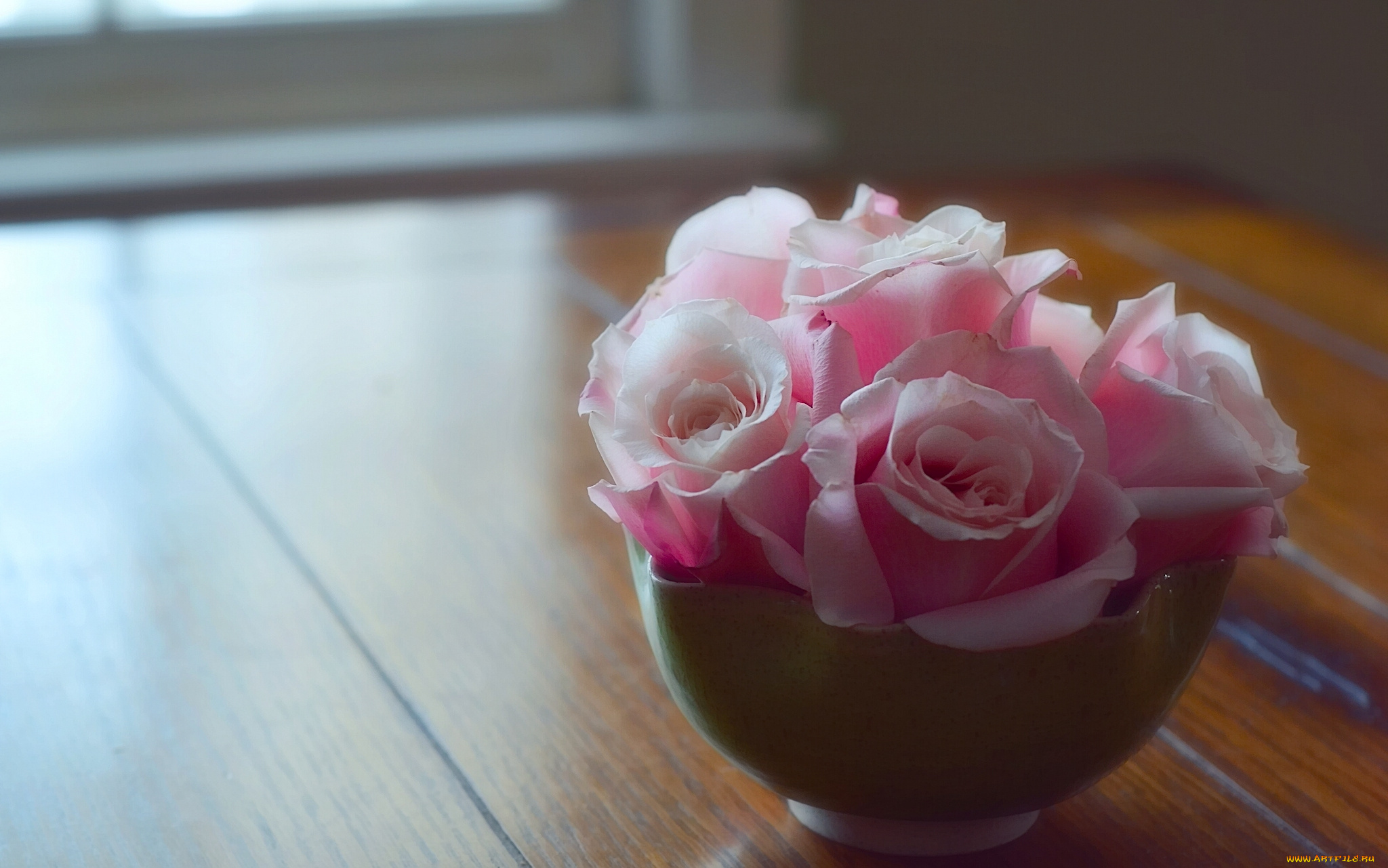 цветы, розы, на, полу, бутоны