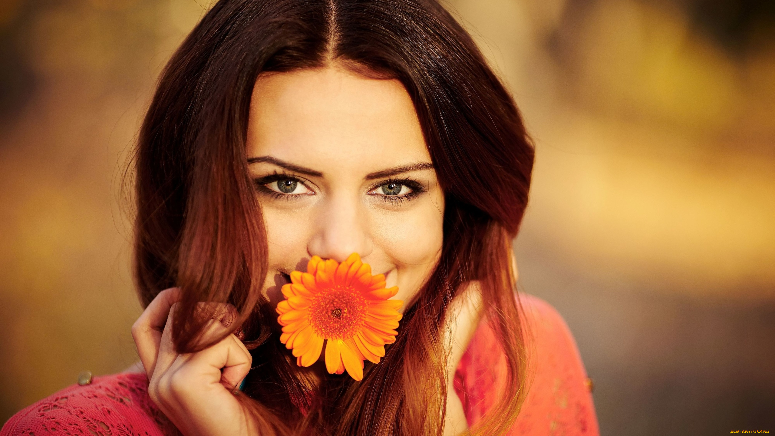 девушки, -unsort, , лица, , портреты, портрет, взгляд, брюнетка, девушка, цветок