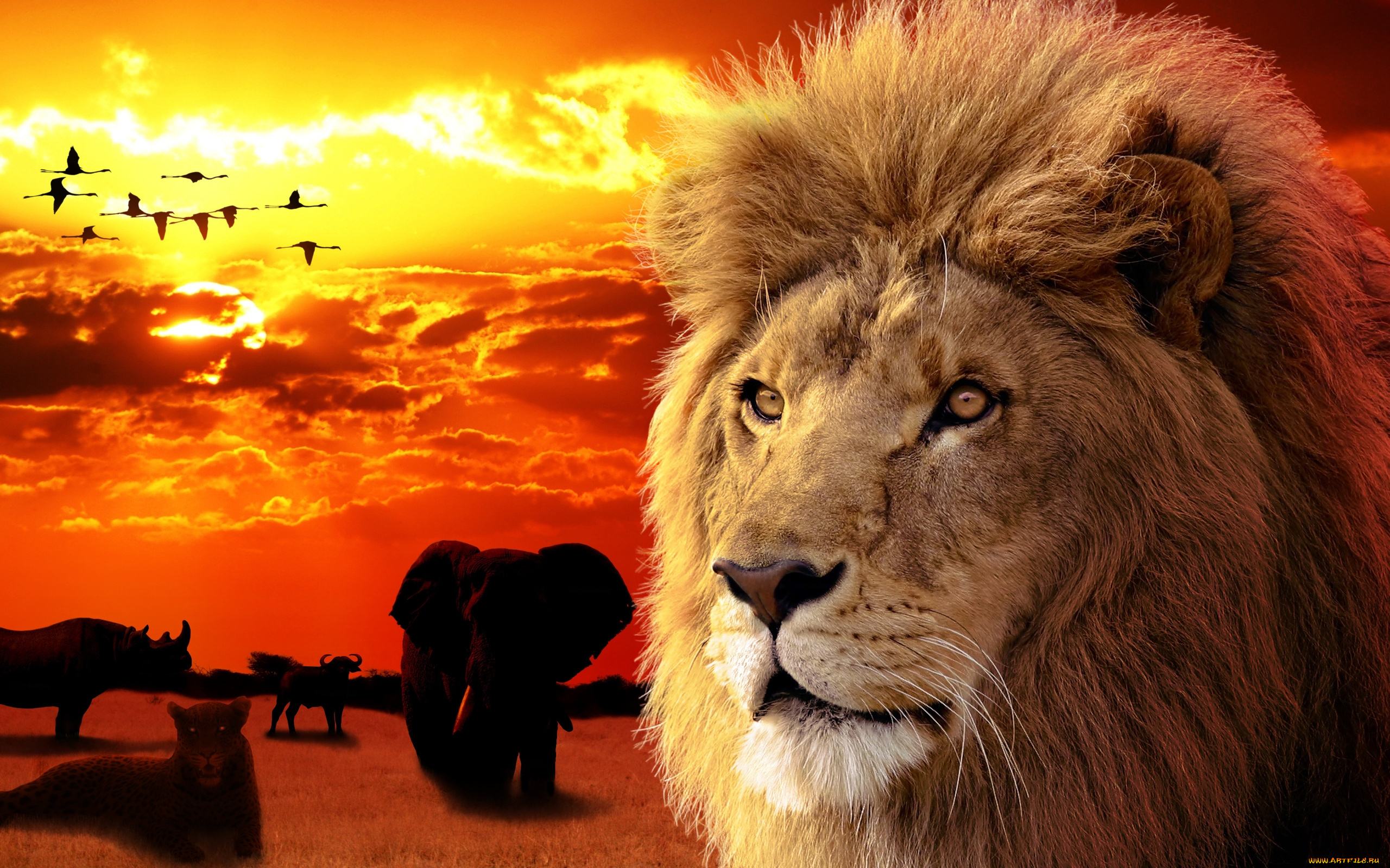 разное, компьютерный, дизайн, морда, зверь, красота, закат, лев
