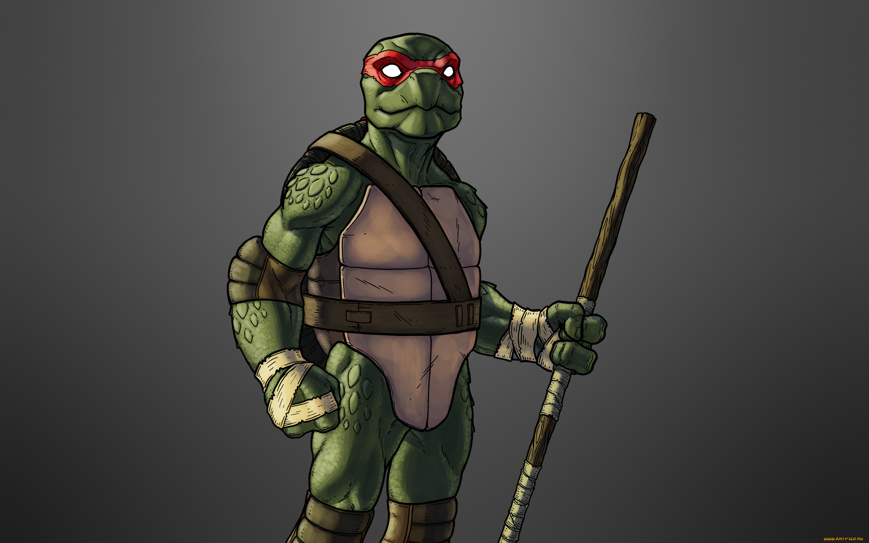 Черепашки, ниндзя, фэнтези, существа, Черепашки, ниндзя, tmnt, teenage, mutant, ninja, turtles