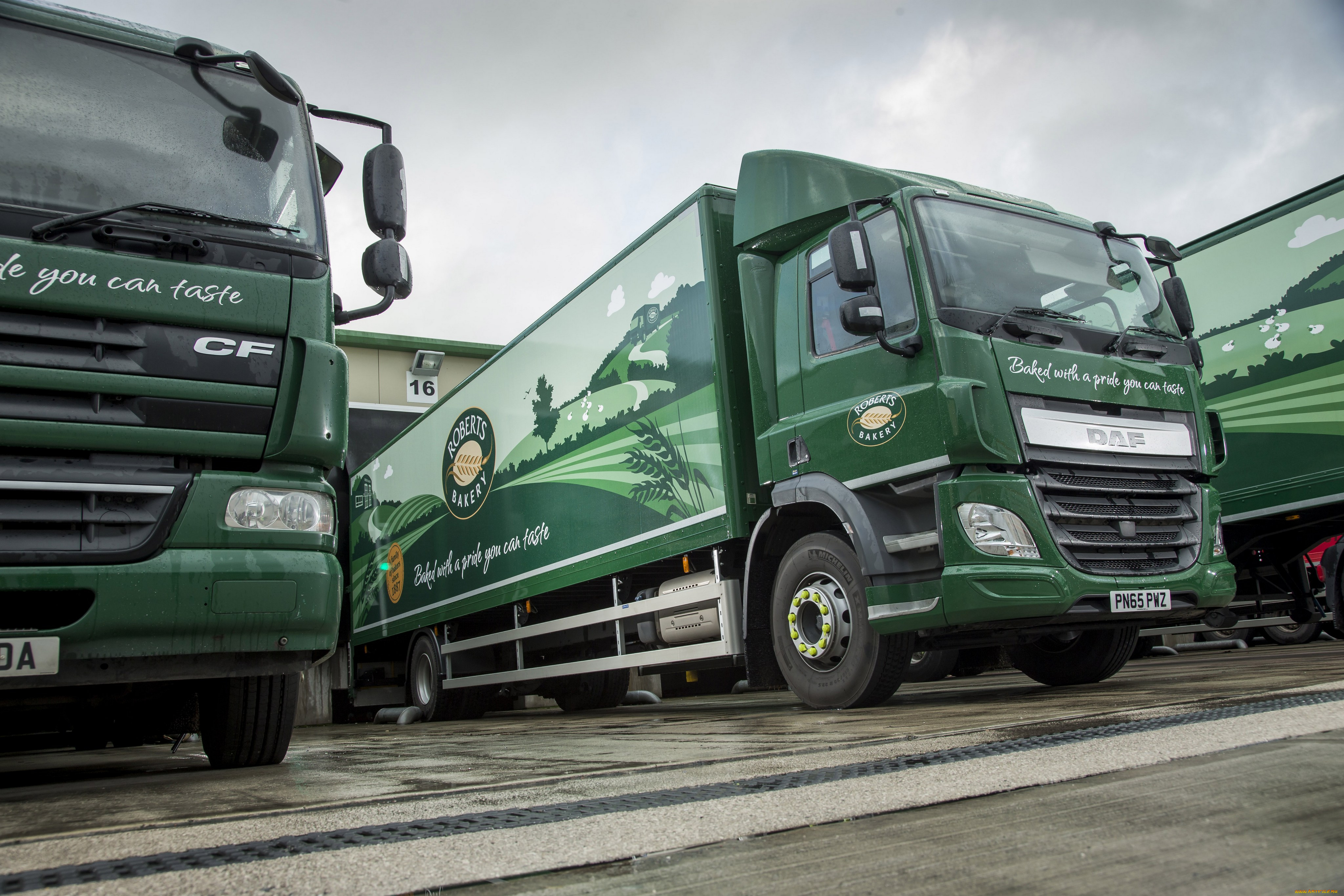 автомобили, daf, cf, 310, cab, day, uk-spec, fa, 2013г