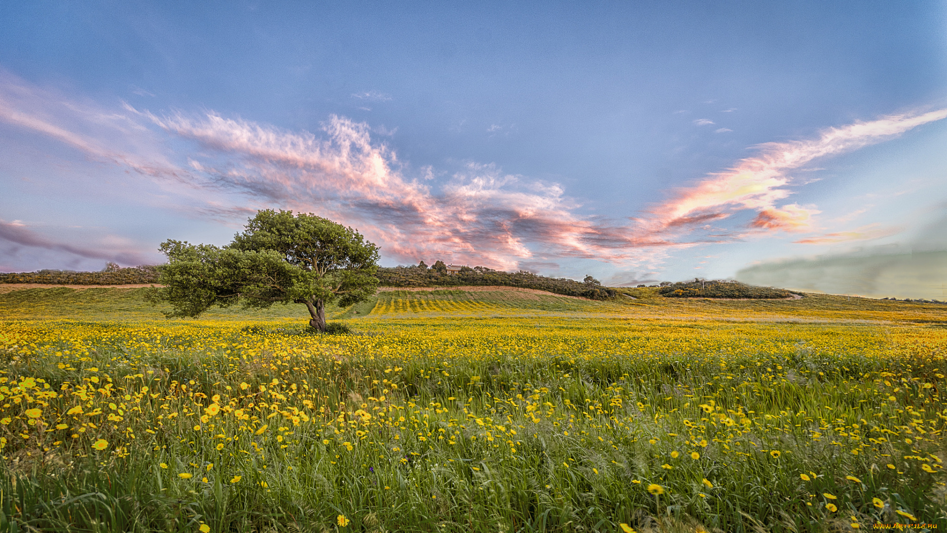 природа, пейзажи, простор