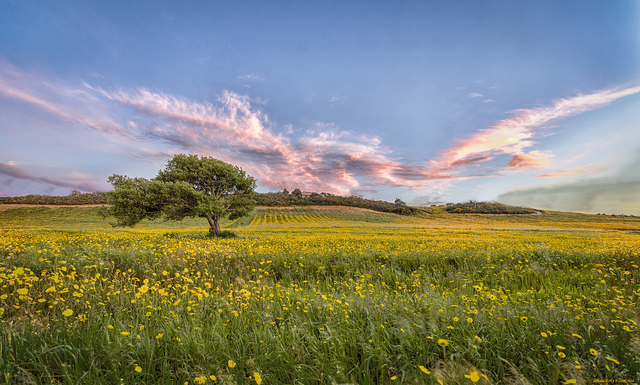 природа, пейзажи, простор