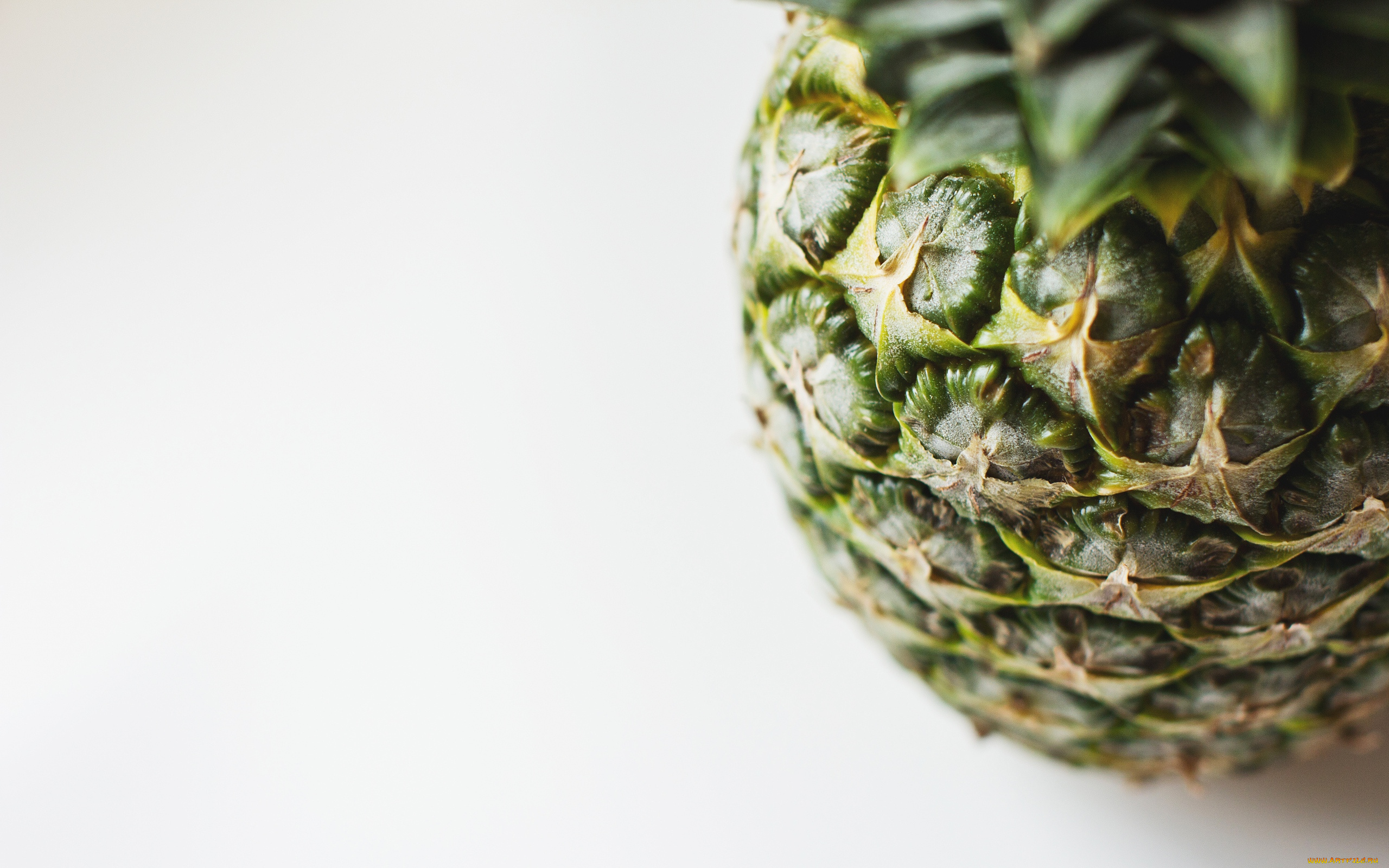 еда, ананас, макро