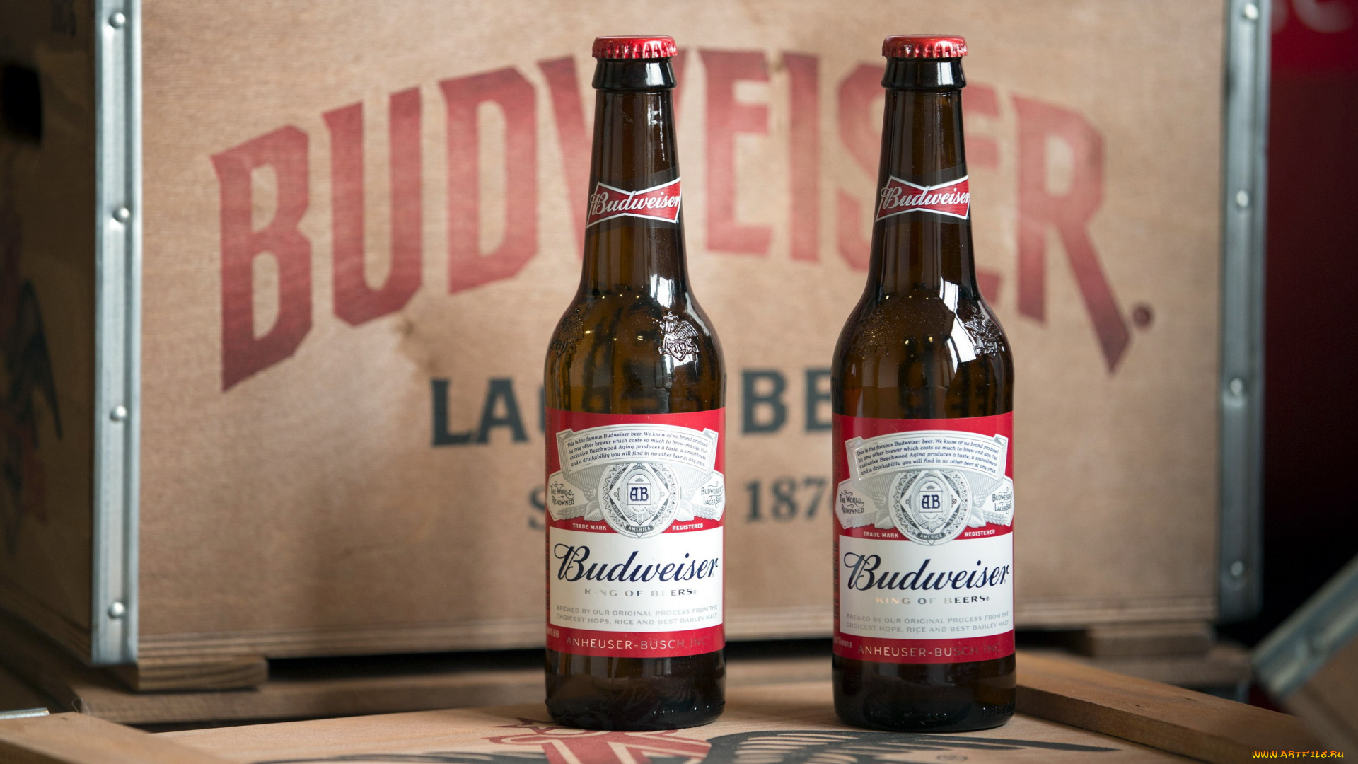 бренды, budweiser, пиво