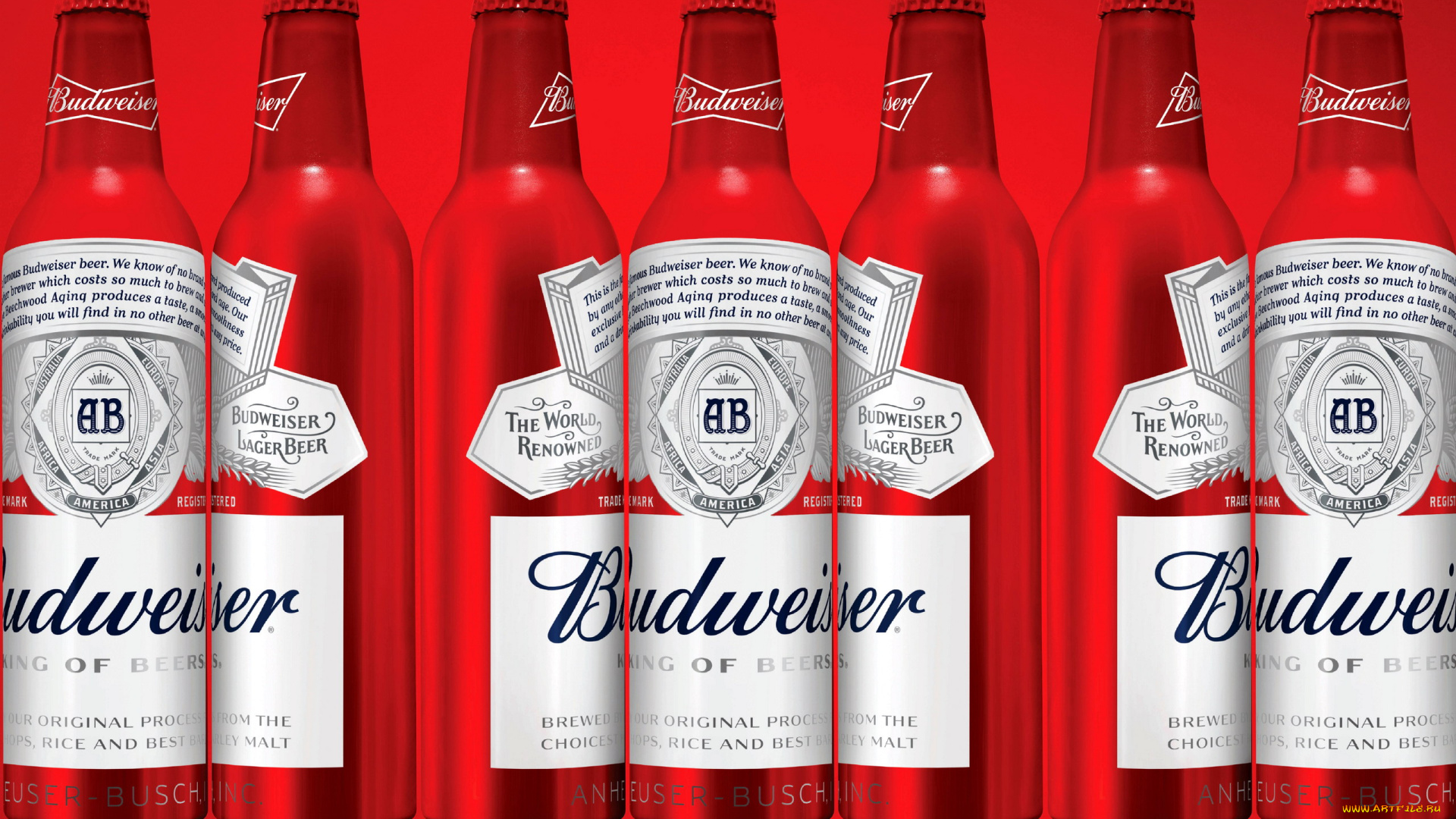 бренды, budweiser, пиво