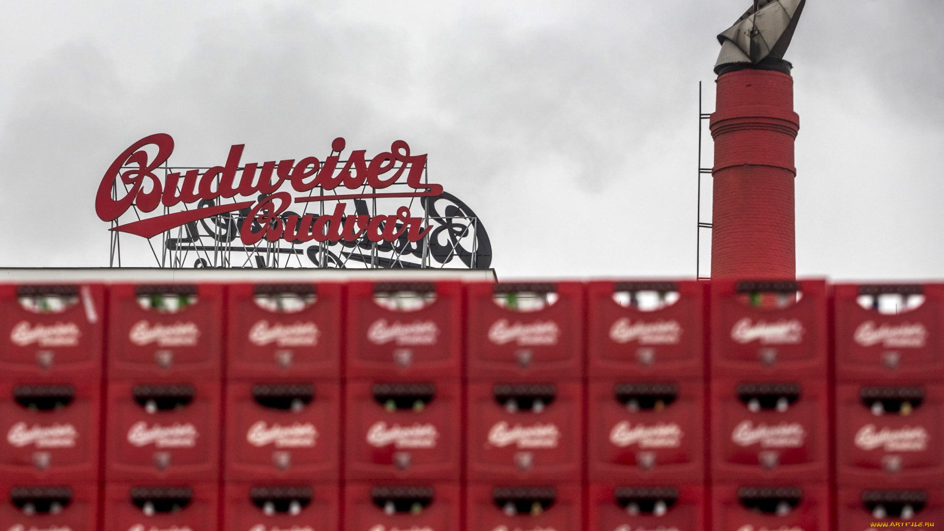 бренды, budweiser, пиво