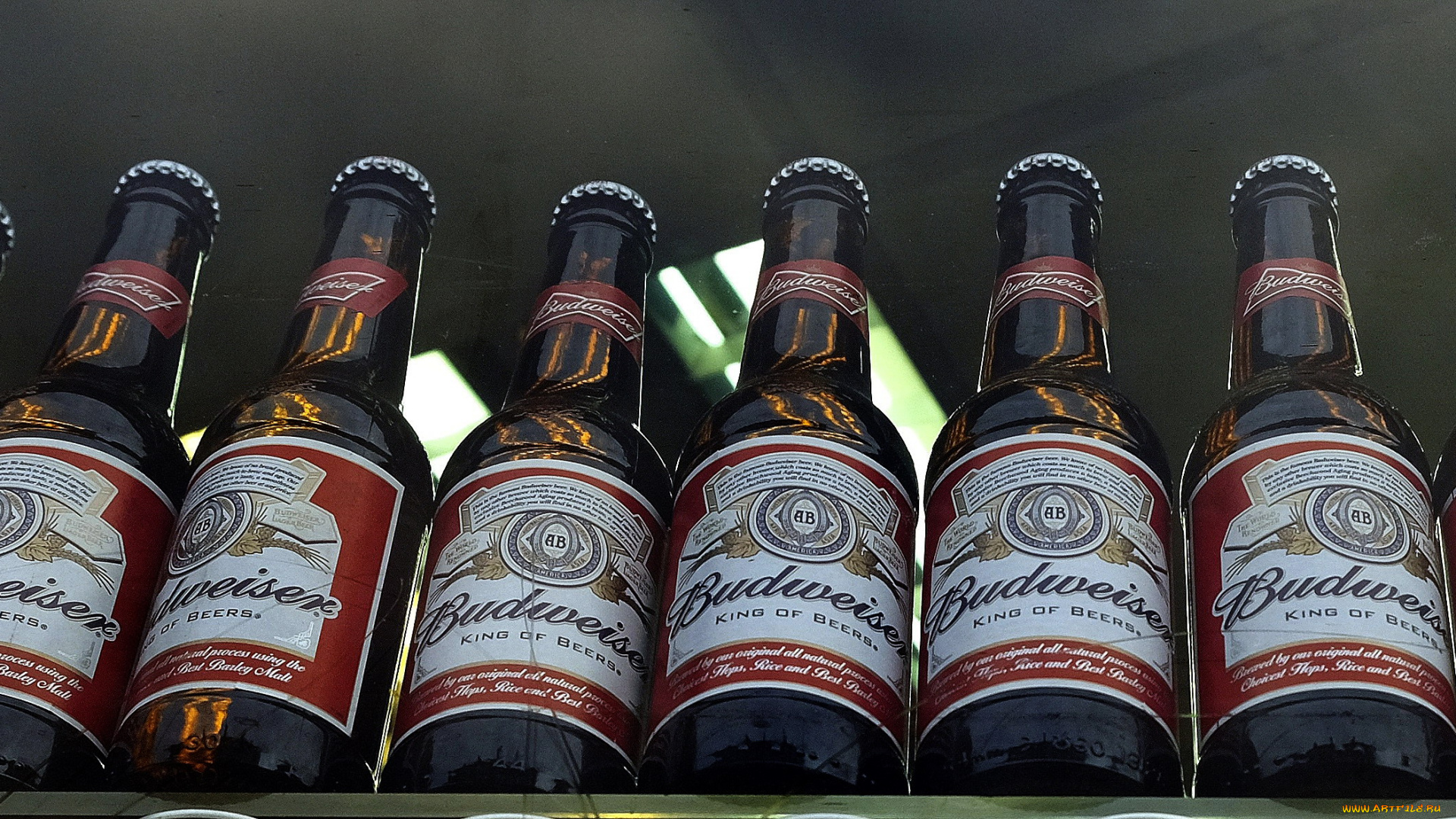бренды, budweiser, пиво