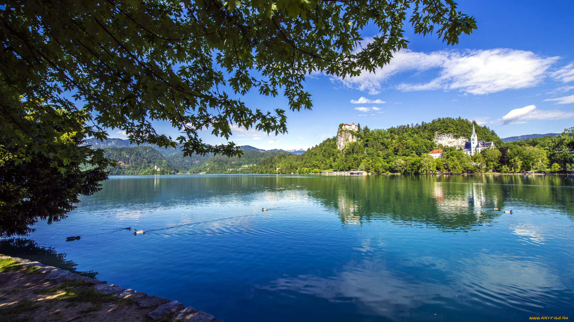 города, блед, , словения, остров, озеро