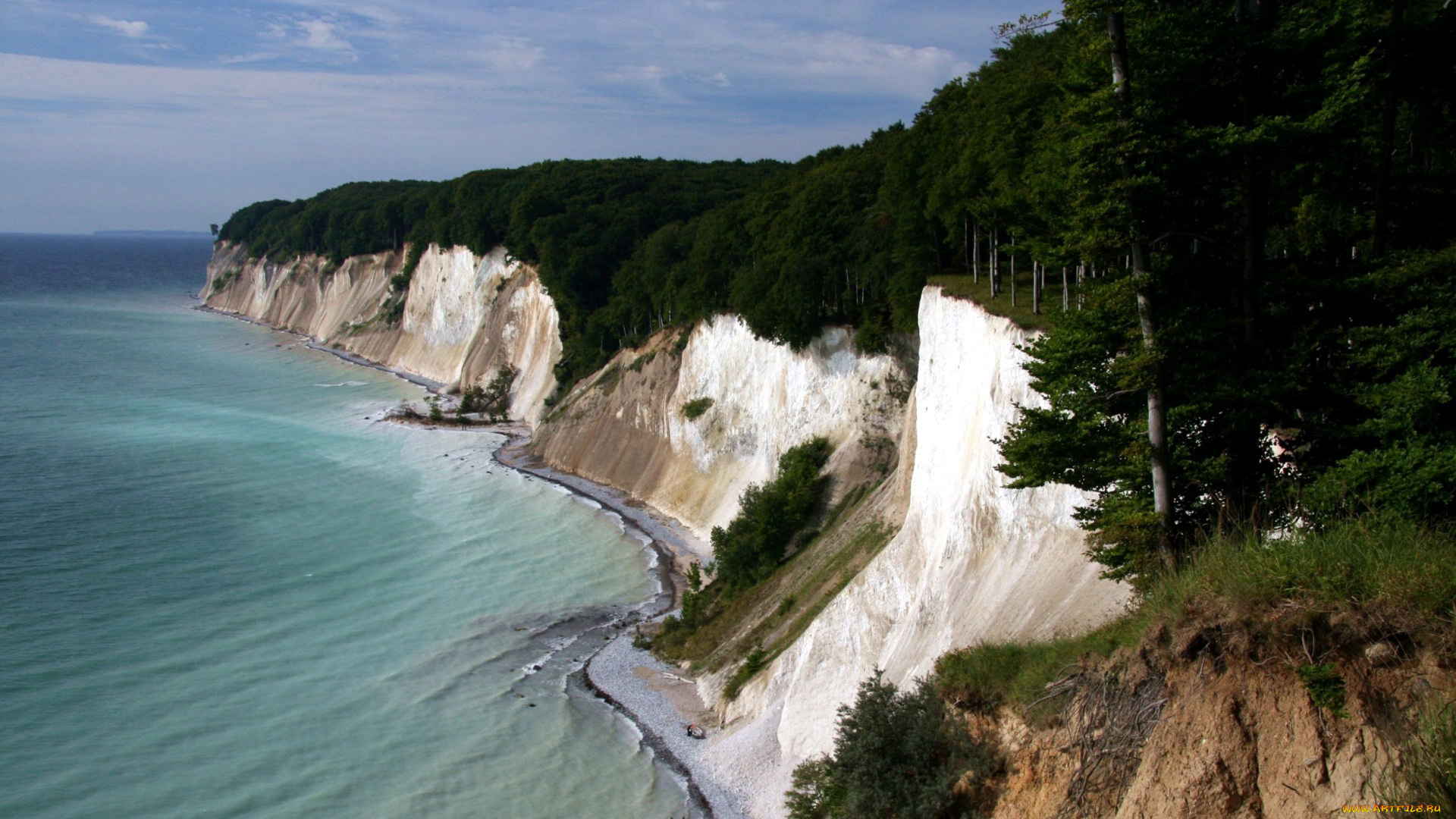 природа, побережье, вода, берег, лес